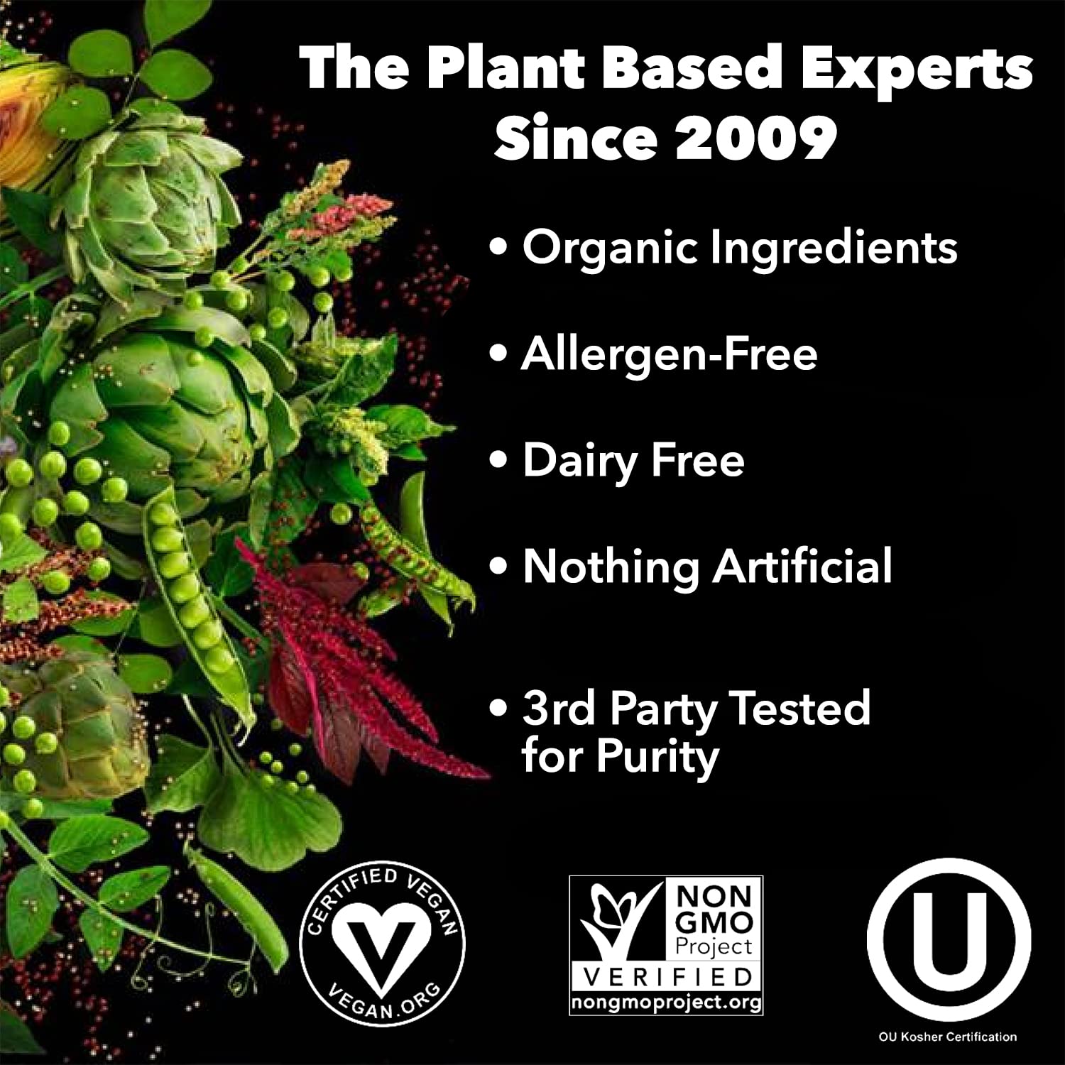 PlantFusion Complete Vegan Protein Powder - Plant Based Protein Powder With BCAAs, Digestive Enzymes and Pea Protein - Keto, Gluten Free, Soy Free, Non-Dairy, No Sugar, Non-GMO - Vanilla Bean 2 lb PlantFusion buy supplements canada