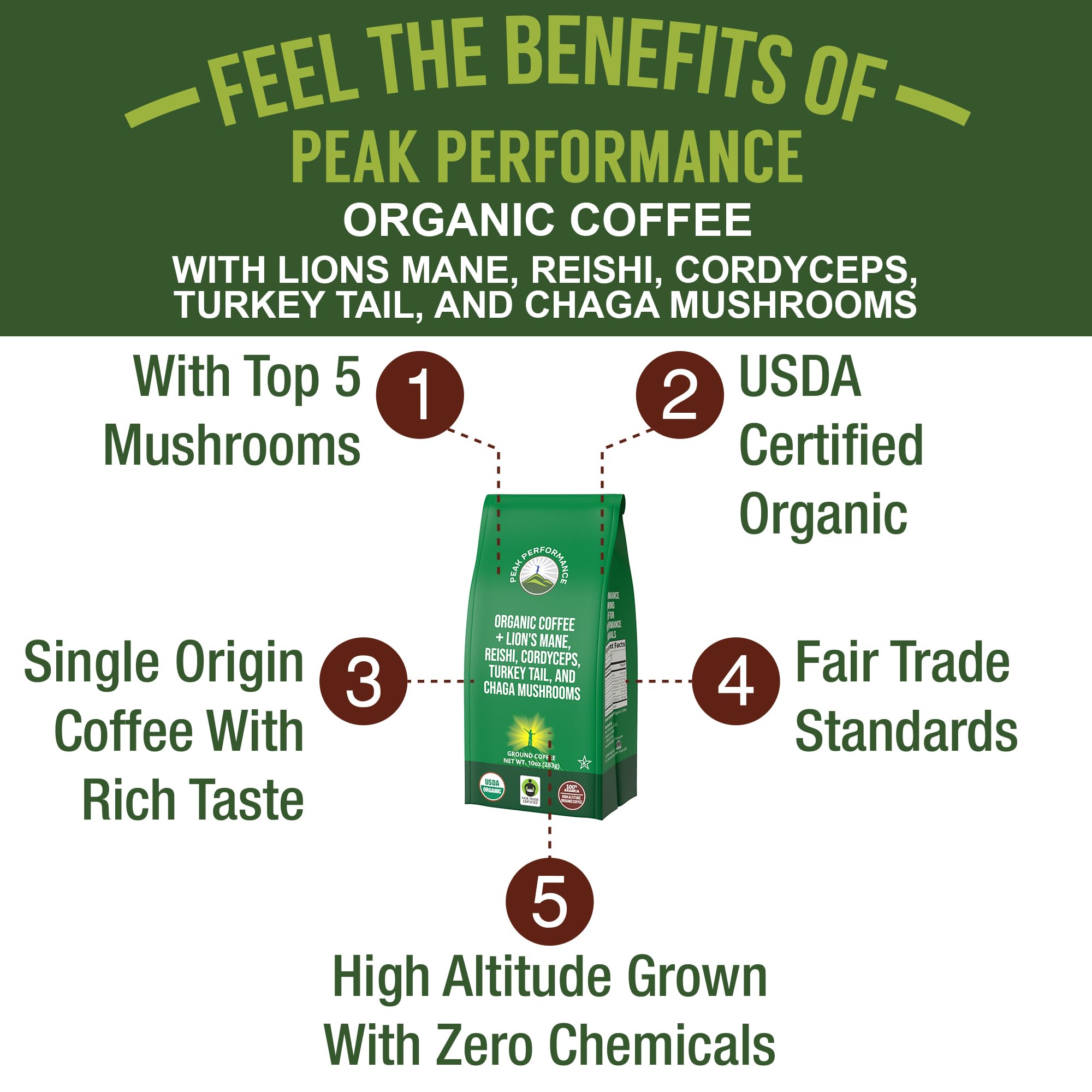 Organic Low Acid Mushroom Coffee with Lion's Mane, Reishi, Cordyceps, Turkey Tail, and Chaga Mushrooms - Great Tasting Premium High Altitude Medium Roast Ground Bags 10 oz by Peak Performance Peak Performance buy supplements canada