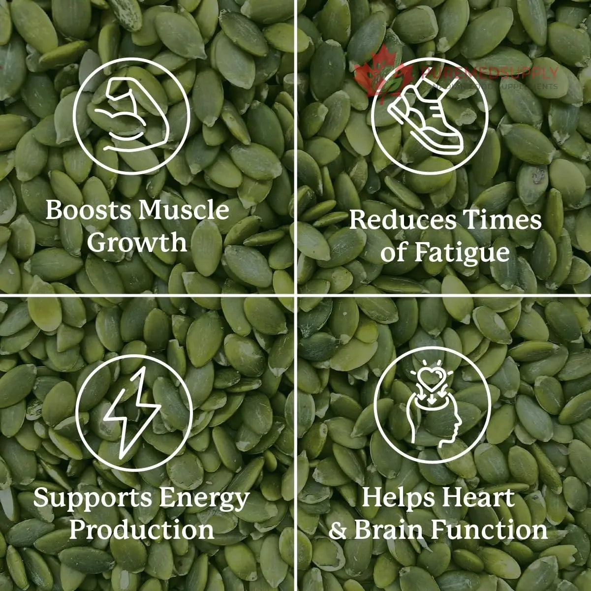 Nature’s Sunshine Magnesium Complex - High Potency Magnesium Supplement with Citrate & Malate for Relaxation, Optimal Absorption, Muscle Function, Energy Production - 50 Servings (100 Capsules) Nature's Sunshine buy supplements canada