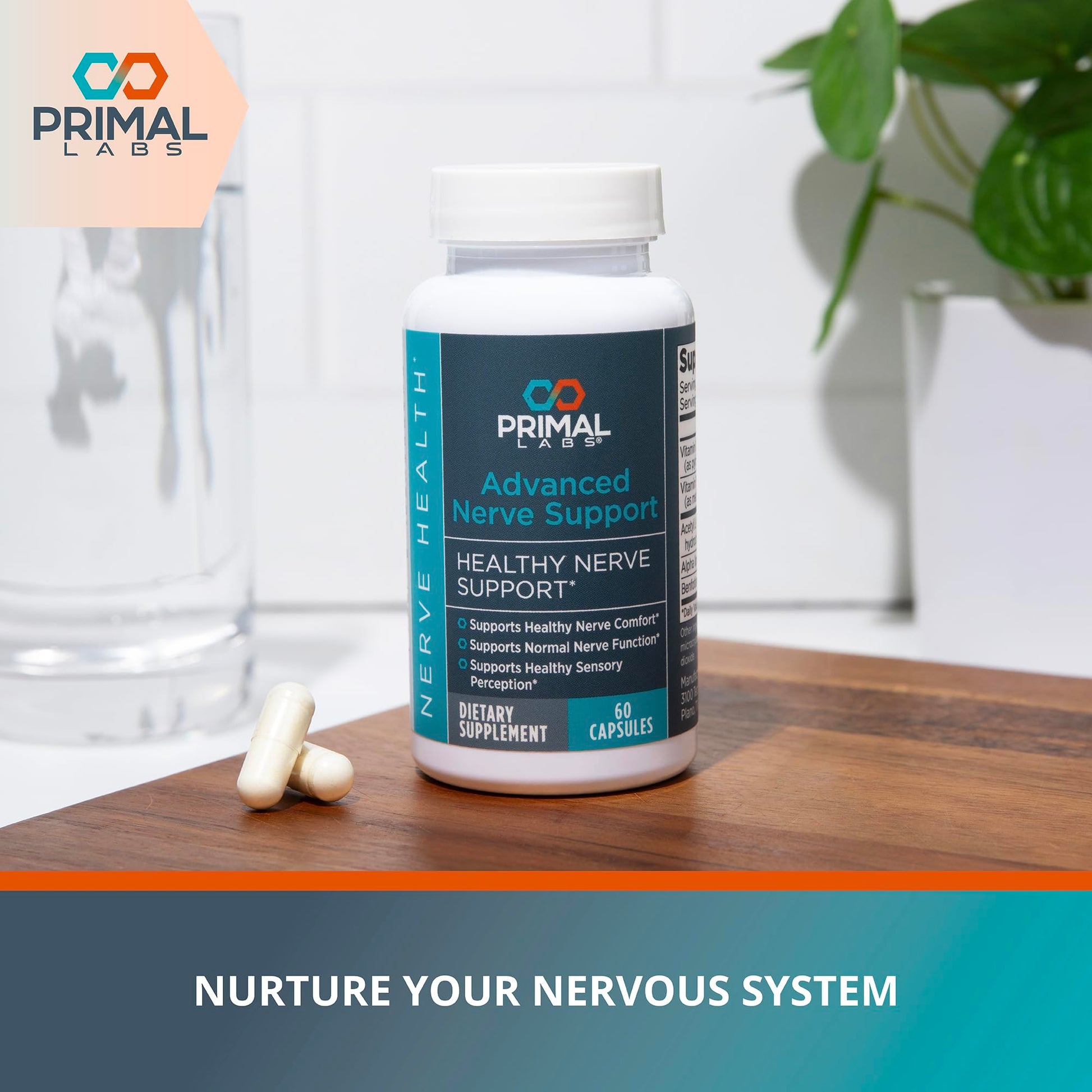 Primal Labs Nerve Support Capsules - Supports Nerve Health, Sensory Function & Comfort - Benfotiamine, Alpha Lipoic Acid, Acetyl L-Carnitine, Vitamins B6 B12-60 Count Primal Labs buy supplements canada