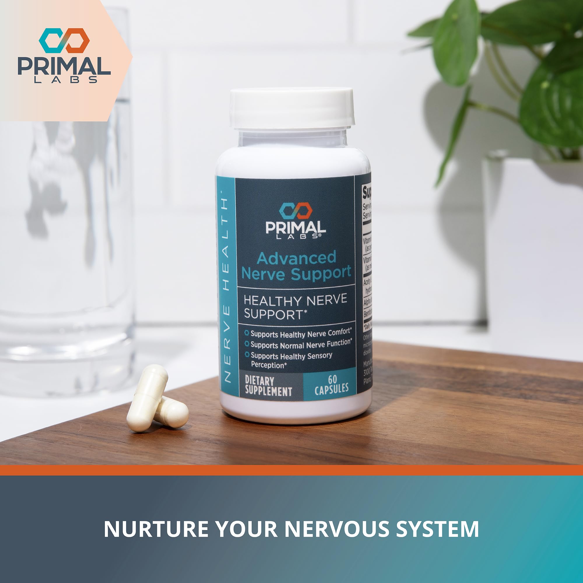Primal Labs Nerve Support Capsules - Supports Nerve Health, Sensory Function & Comfort - Benfotiamine, Alpha Lipoic Acid, Acetyl L-Carnitine, Vitamins B6 B12-60 Count Primal Labs buy supplements canada