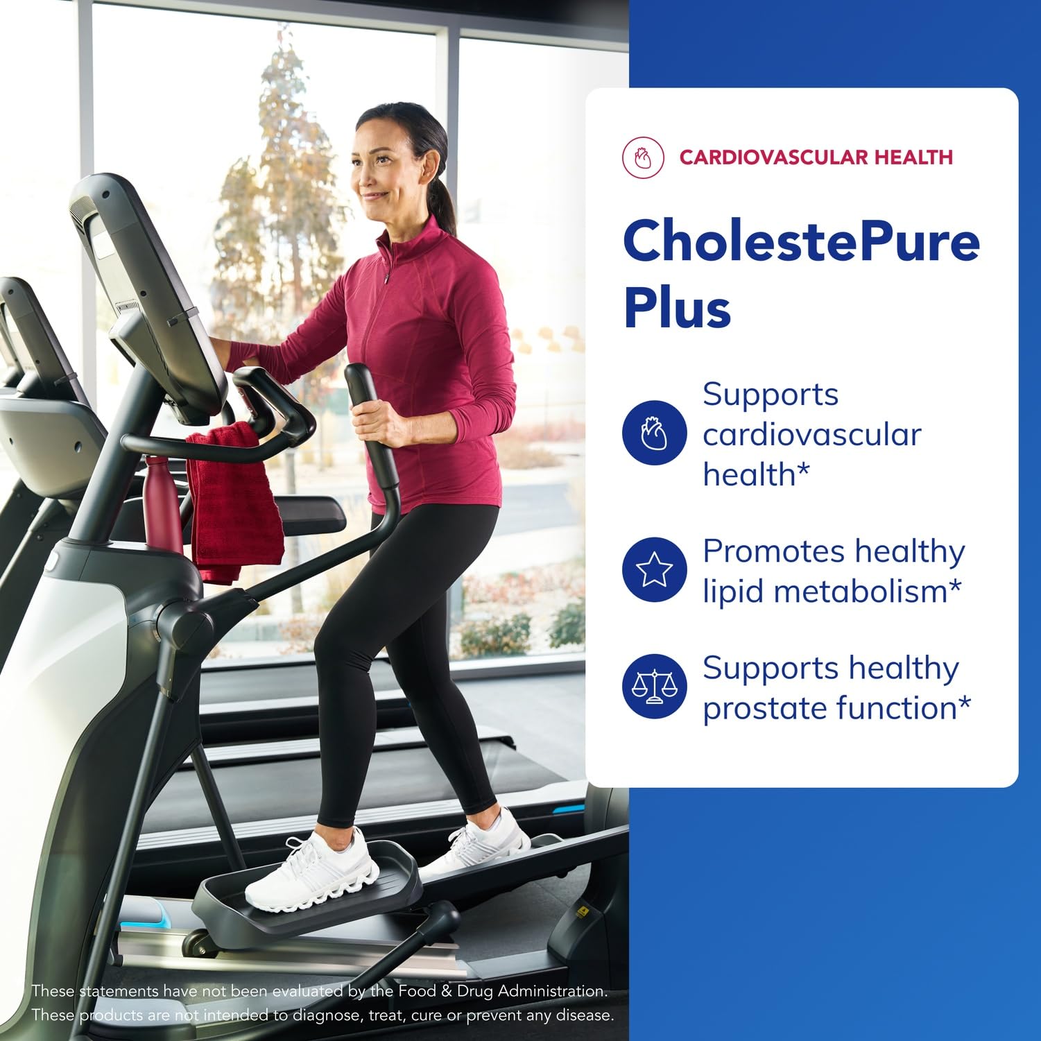Pure Encapsulations CholestePure Plus 120's - Supports Lipid Metabolism & Heart Health* - Berberine Supplement - with Citrus Bergamot - Gluten Free & Non-GMO - 120 Capsules Pure Encapsulations buy supplements canada