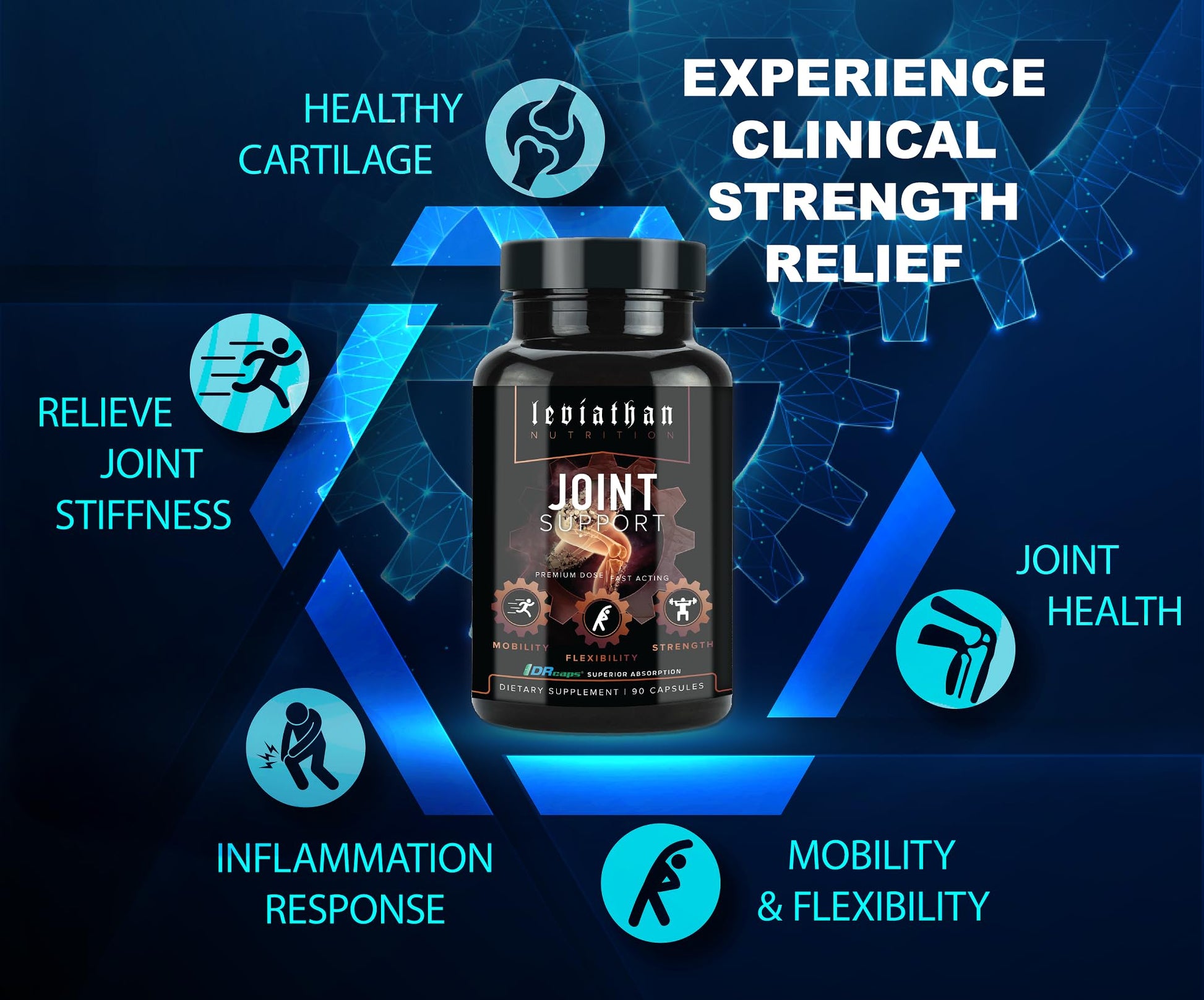 Leviathan Nutrition Joint Support | Helps Repair & Restore Joints for Comfort Mobility, Flexibility, Strength & Joint Health with Boswellia for Hands Back Knee and Joints for Men & Women - 90 Capsules Leviathan Nutrition buy supplements canada