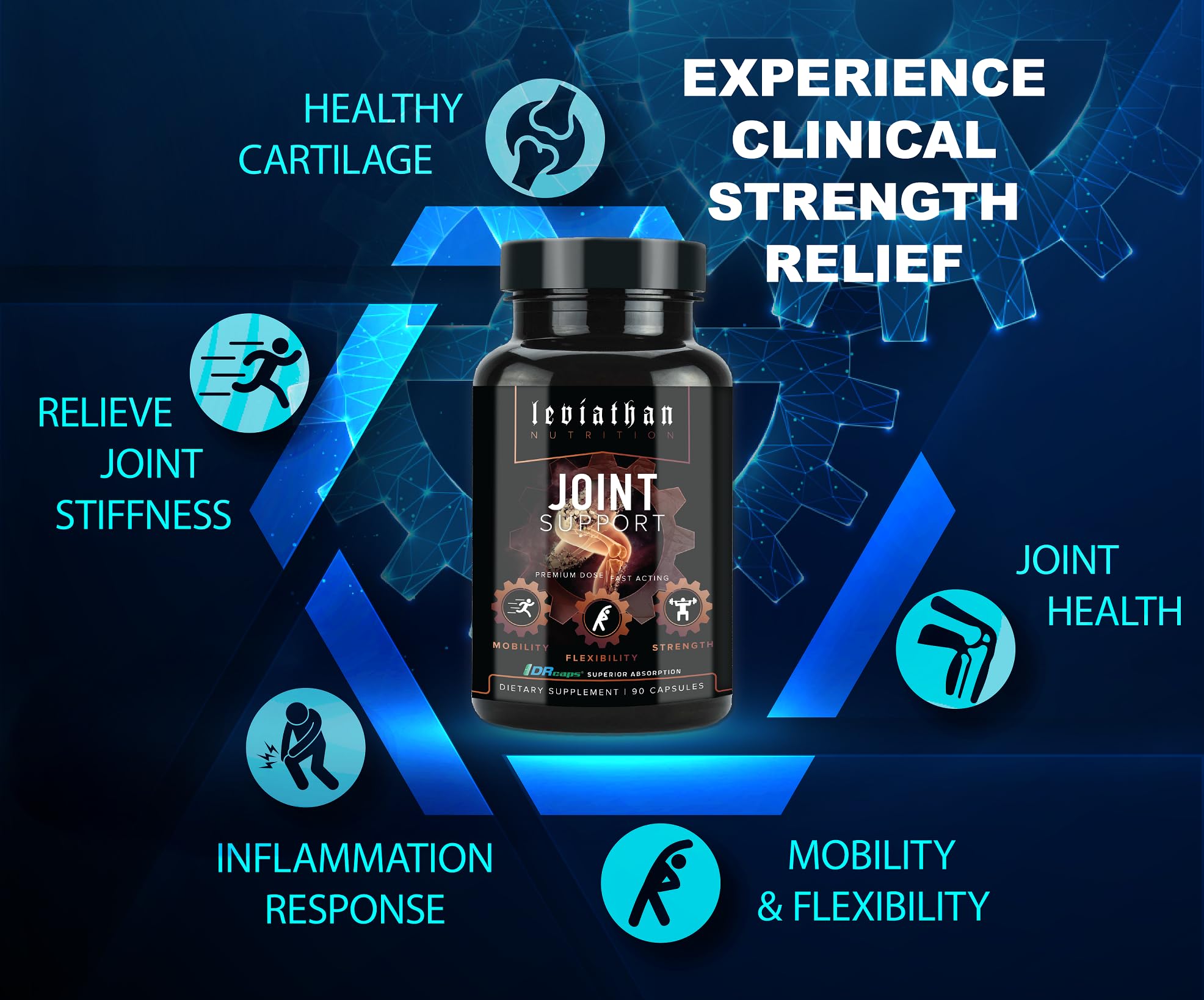 Leviathan Nutrition Joint Support | Helps Repair & Restore Joints for Comfort Mobility, Flexibility, Strength & Joint Health with Boswellia for Hands Back Knee and Joints for Men & Women - 90 Capsules Leviathan Nutrition buy supplements canada