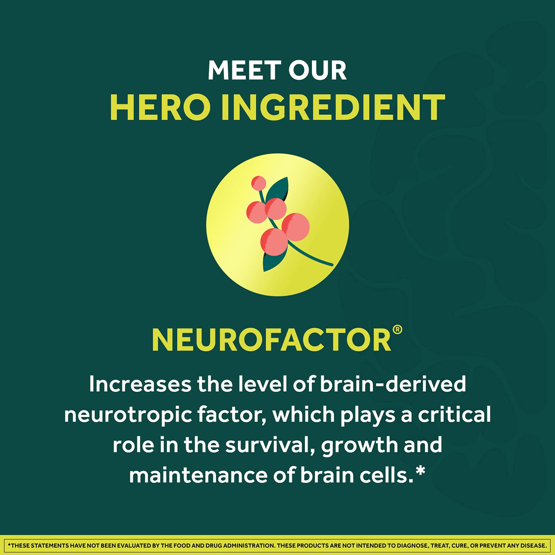 NEURIVA Brain + Energy Gummies, Nootropic Brain Supplements for Focus and Concentration with Neurofactor, Vitamin B12 & Caffeine for an Energy Boost*, 75ct Natural BlackBerry NEURIVA buy supplements canada