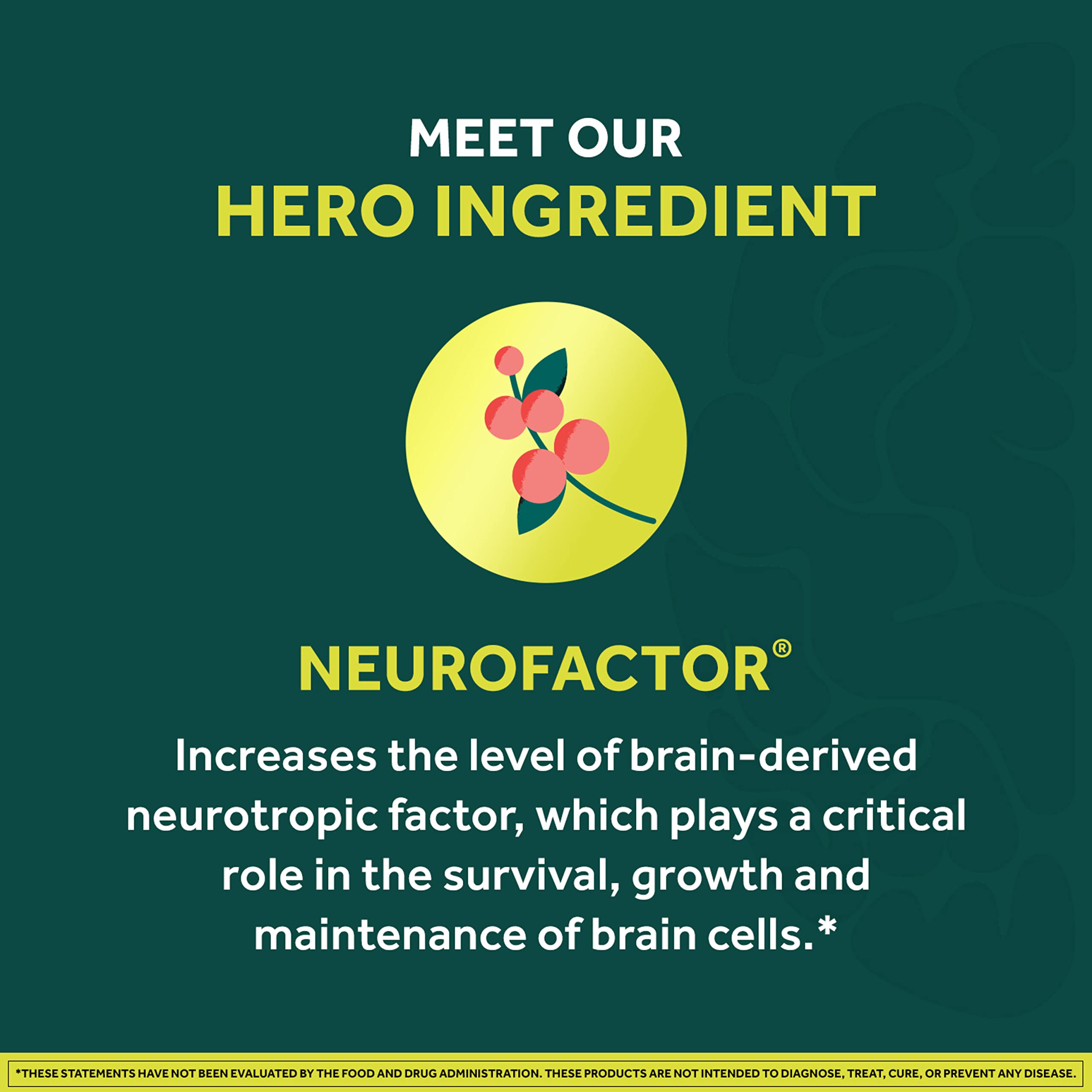 NEURIVA Brain + Energy Gummies, Nootropic Brain Supplements for Focus and Concentration with Neurofactor, Vitamin B12 & Caffeine for an Energy Boost*, 75ct Natural BlackBerry NEURIVA buy supplements canada