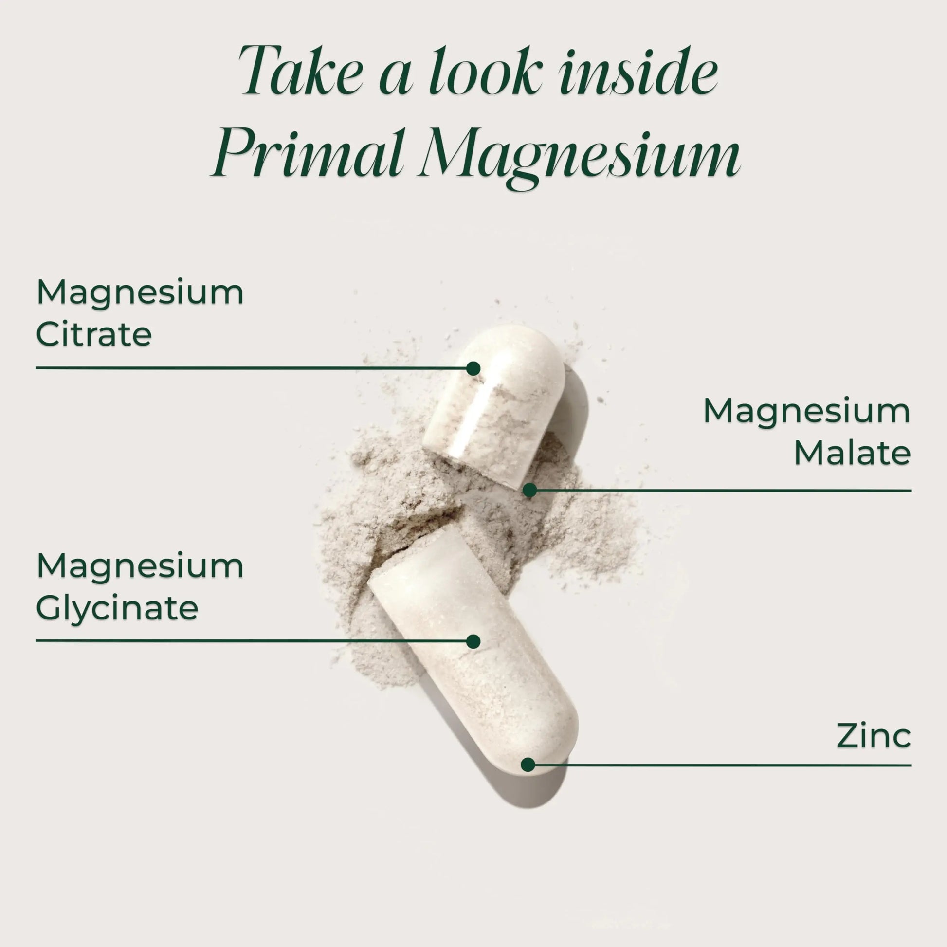 Primal Harvest Magnesium Supplement Complex 310mg by Primal Harvest with Magnesium Glycinate, Citrate, Malate, and Zinc 2 Pack, 240 Capsules Primal Harvest buy supplements canada