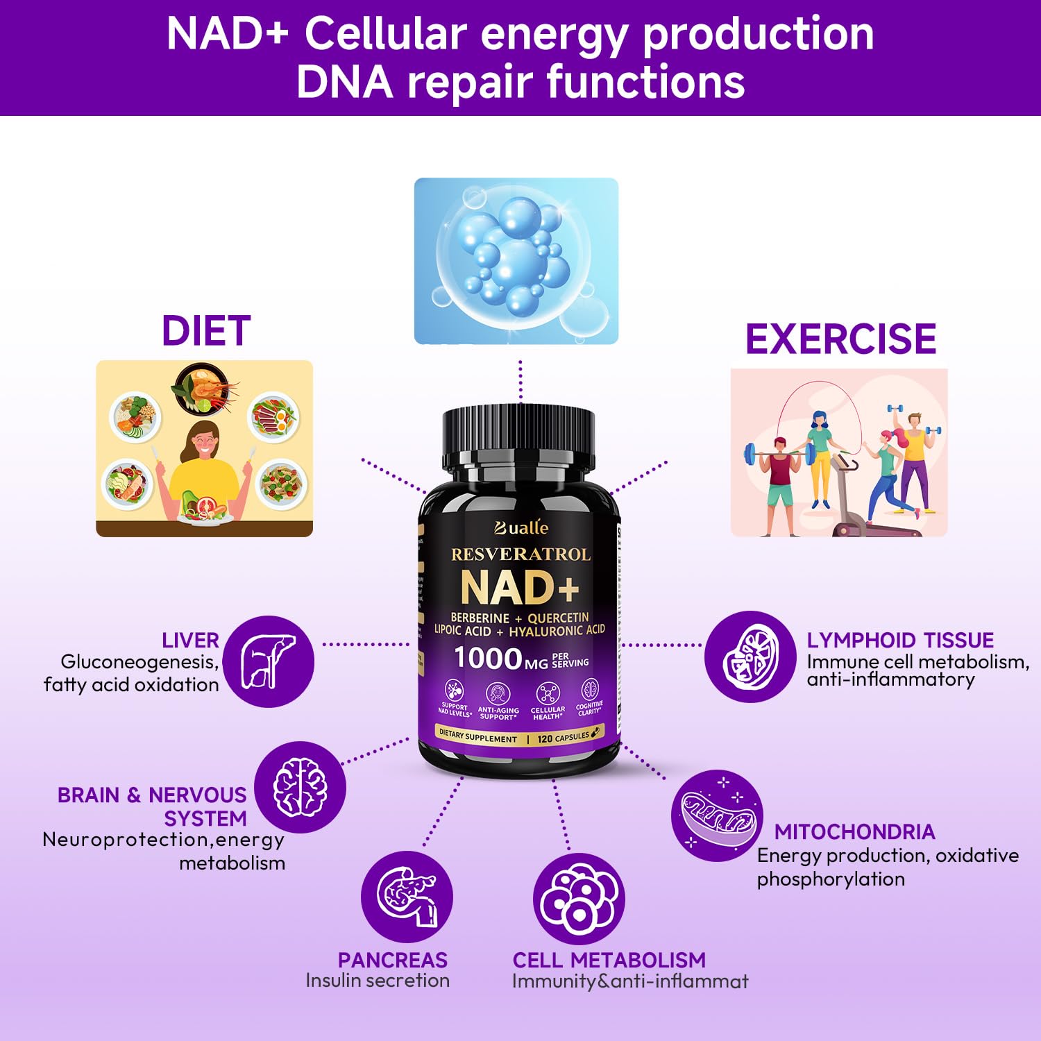 Bualle NAD Supplement, Liposomal NAD Resveratrol Supplement Contains Berberine, Alpha Lipoic Acid,Hyaluronic Acid & Quercetin - Joint Function& Support Anti-Aging,NMN Alternative -120 Capsules Bualle buy supplements canada