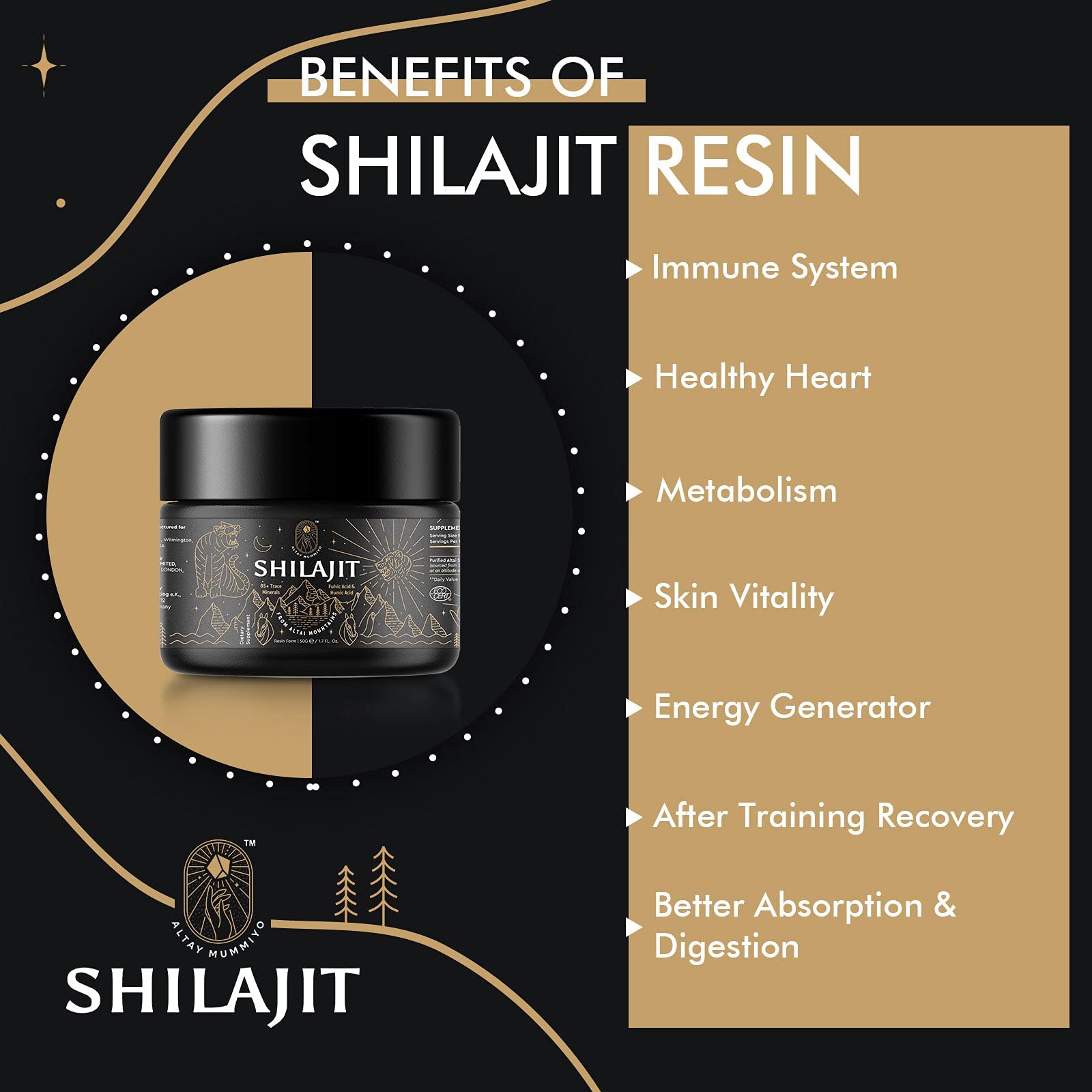 Shilajit Resin with Fulvic Acid & Trace Minerals, Original Siberian Pure Shilajit with 85+ Humic ALTAY MUMMIYO buy supplements canada