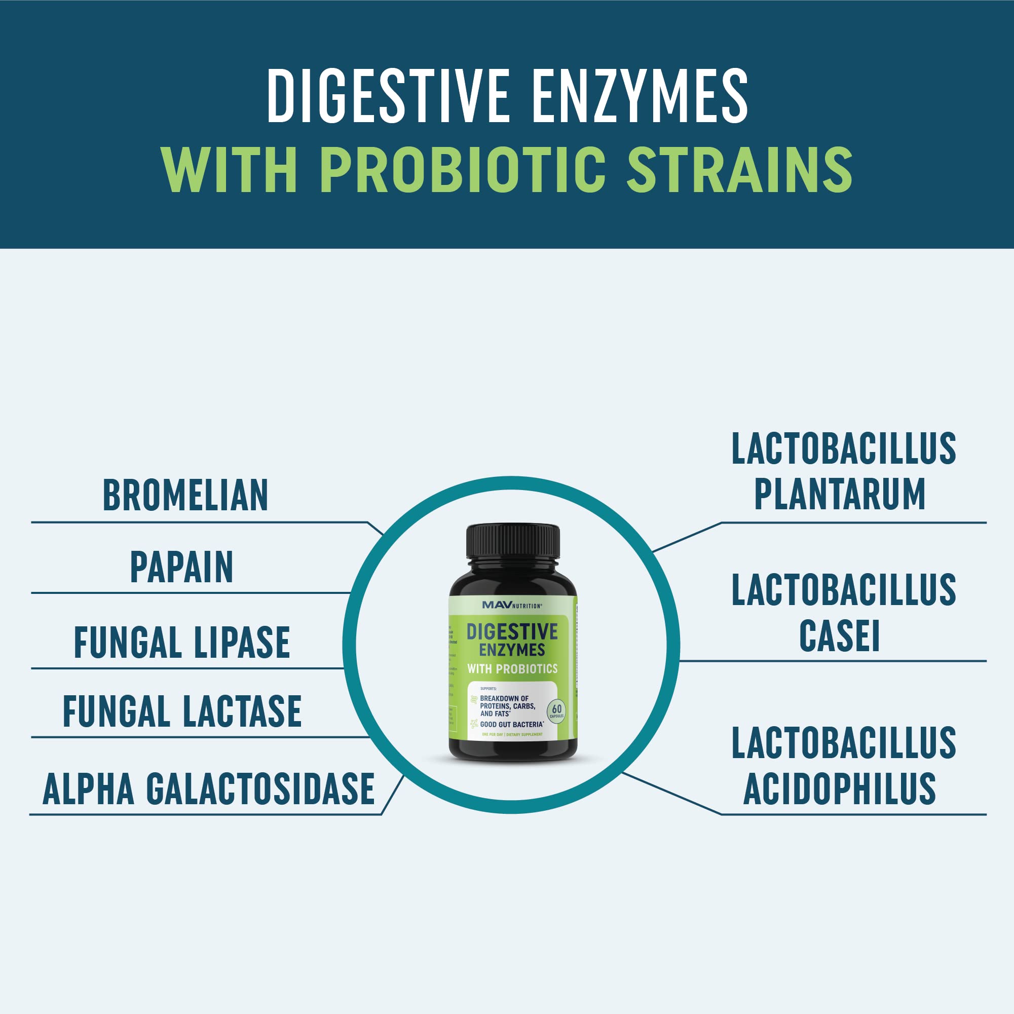 Digestive Enzymes with Probiotics for Bloating Relief & Digestive Health MAV NUTRITION buy supplements canada