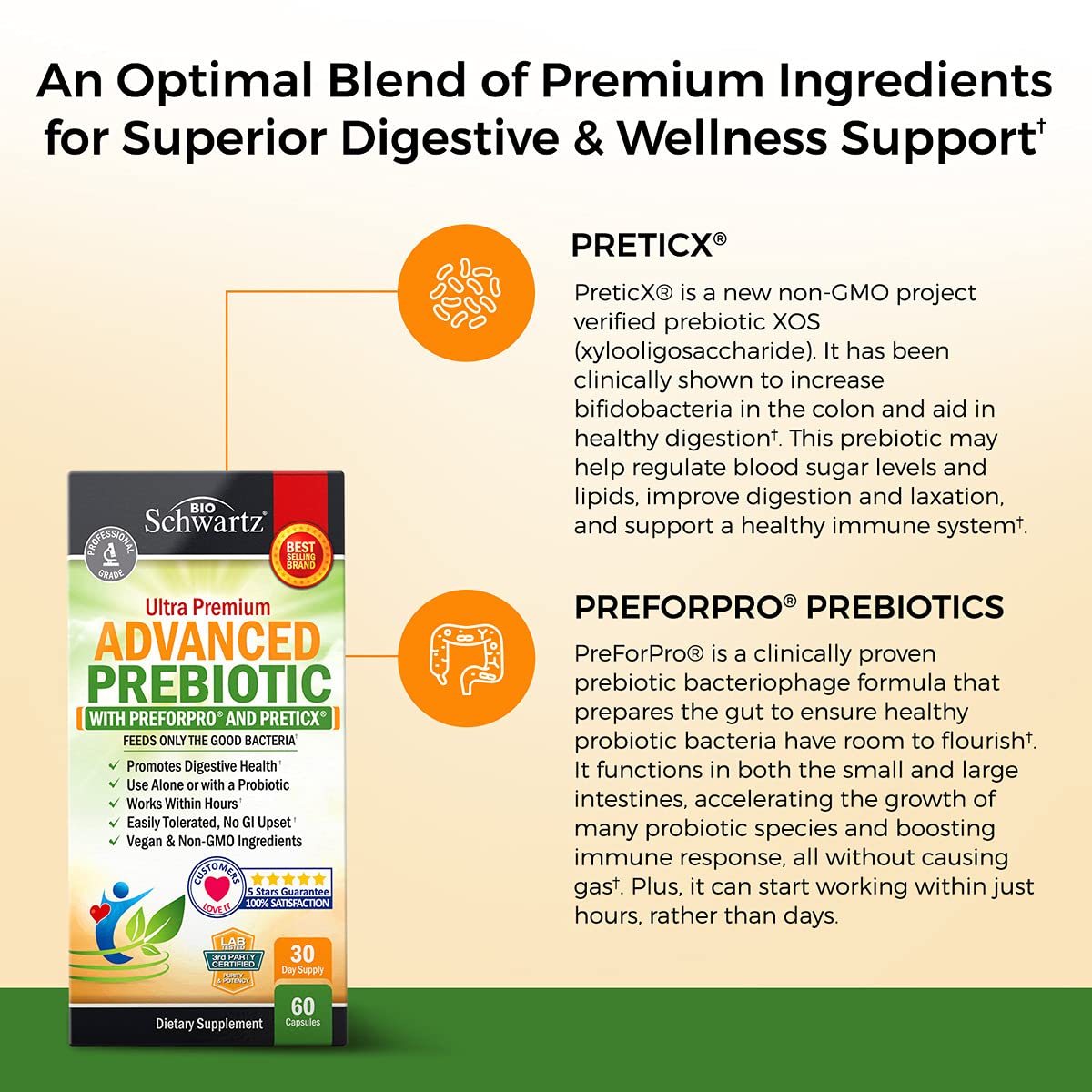 Prebiotics for Advanced Gut Health - Immune System Support & Dietary Fiber BioSchwartz buy supplements canada