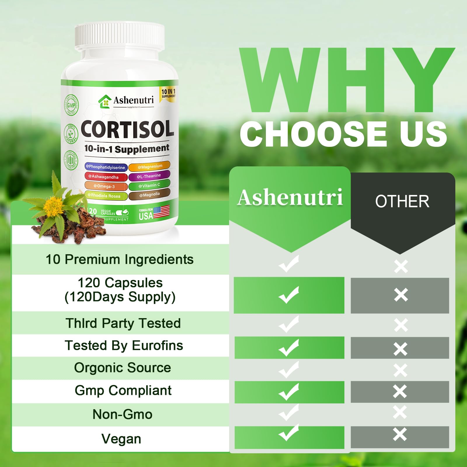 Ashenutri 10-in-1 Cortisol Supplement with Magnesium,Ashwagandha,Rhodiola Rosea,L Theanine,Hormone Balance for Women 120 Vegan Capsules Ashenutri buy supplements canada