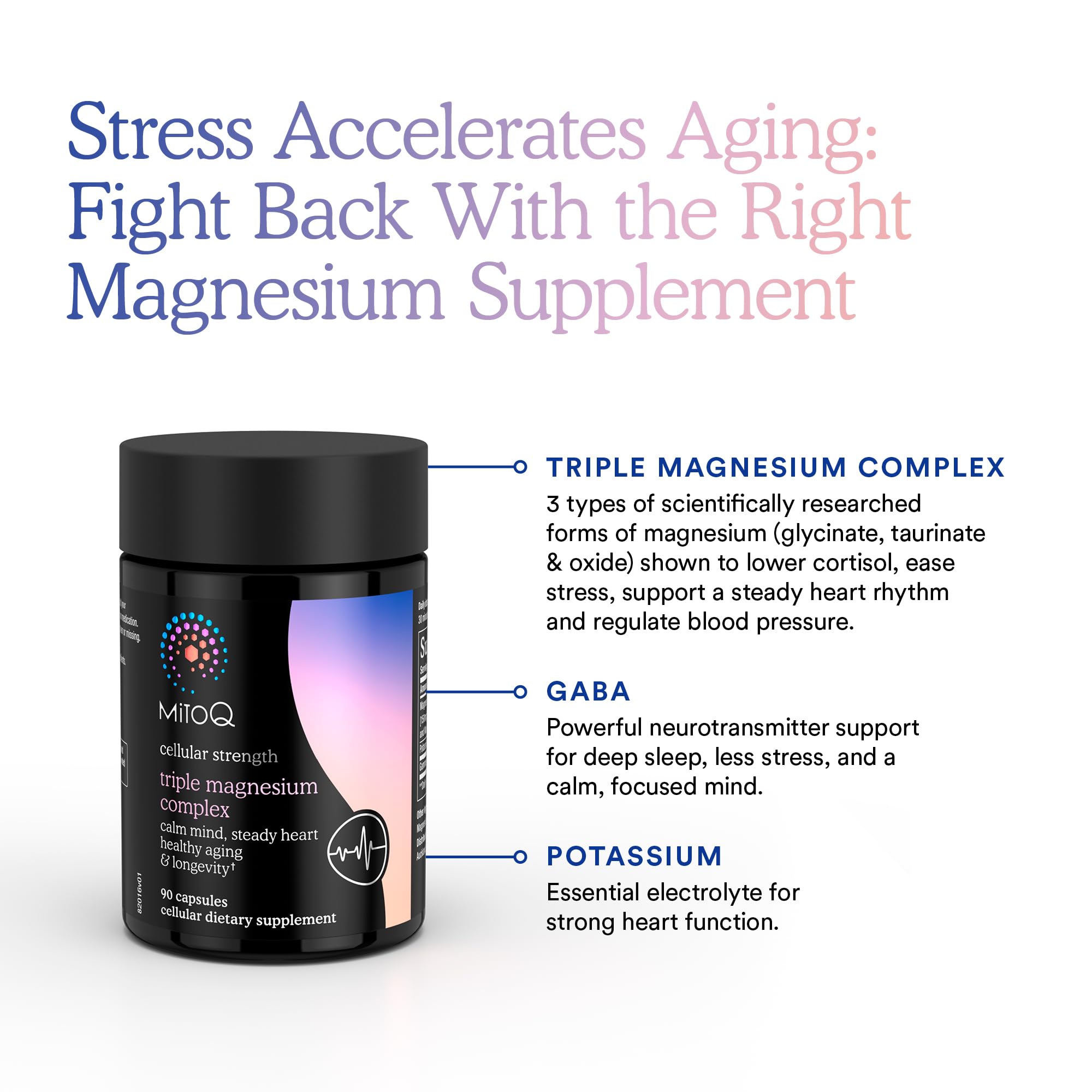 MitoQ Triple Magnesium Complex | Magnesium Glycinate, Taurinate, Oxide with GABA for Heart Health, Stress Management, & Deeper Sleep | High Absorption | 90 Capsules MitoQ buy supplements canada