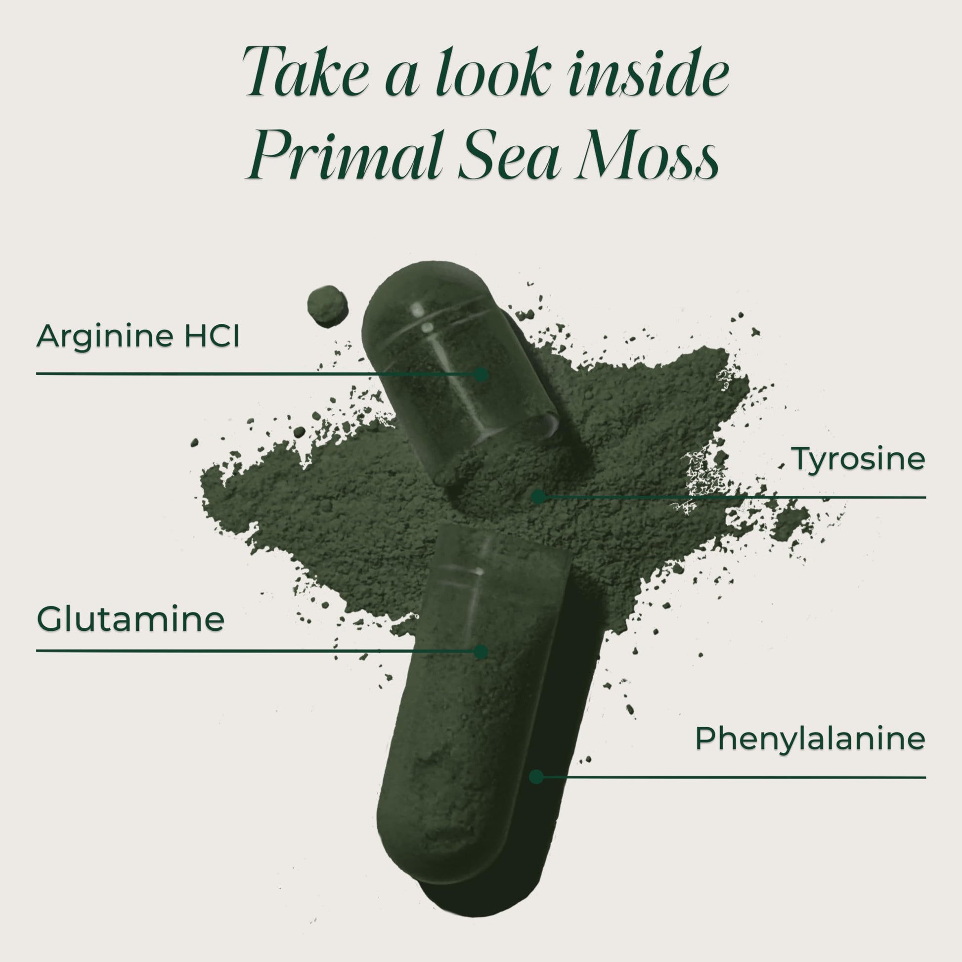 Primal Harvest Sea Moss Capsules with Bladderwack and Irish Sea Moss, Chlorella, Broccoli Seed Extract Plant-Based Supplements for Adults Primal Harvest buy supplements canada