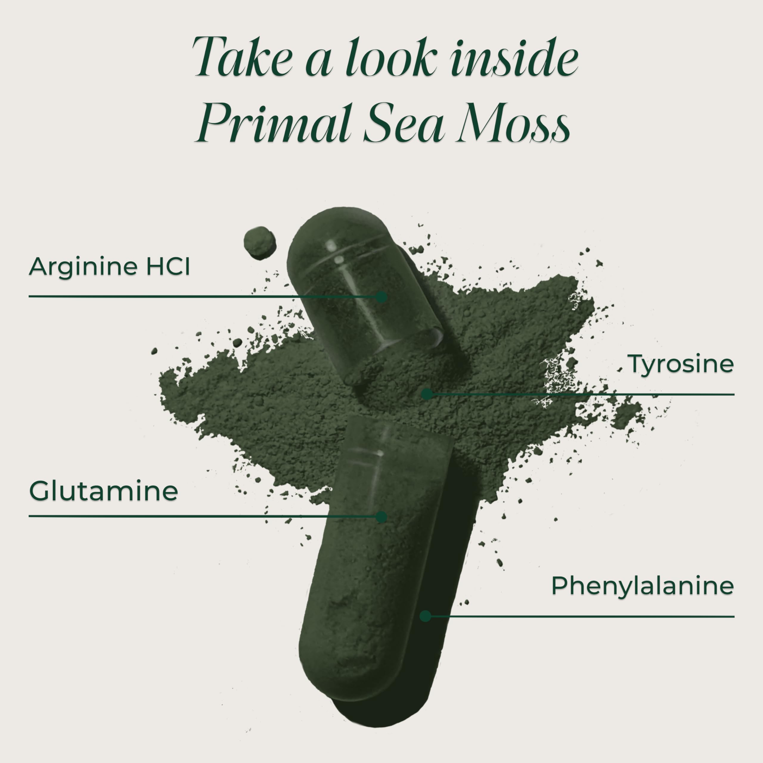 Primal Harvest Sea Moss Capsules with Bladderwack and Irish Sea Moss, Chlorella, Broccoli Seed Extract Plant-Based Supplements for Adults Primal Harvest buy supplements canada