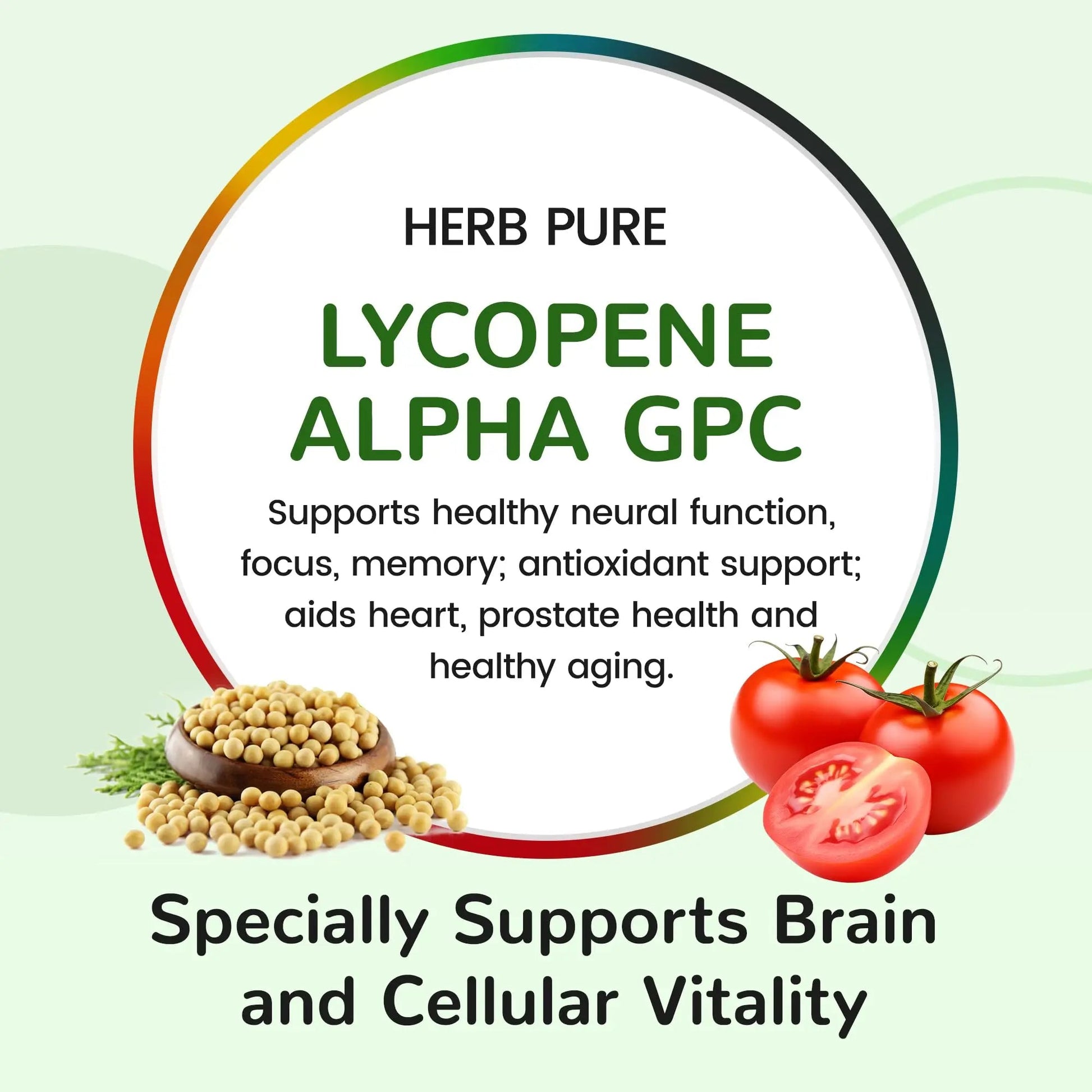 HERB PURE Multi Vitamin Complex Daily Multivitamin for Men and Women – 28 Essential Vitamins & Minerals with Active Vitamins, Superfood Blend, Alpha GPC HERB PURE buy supplements canada