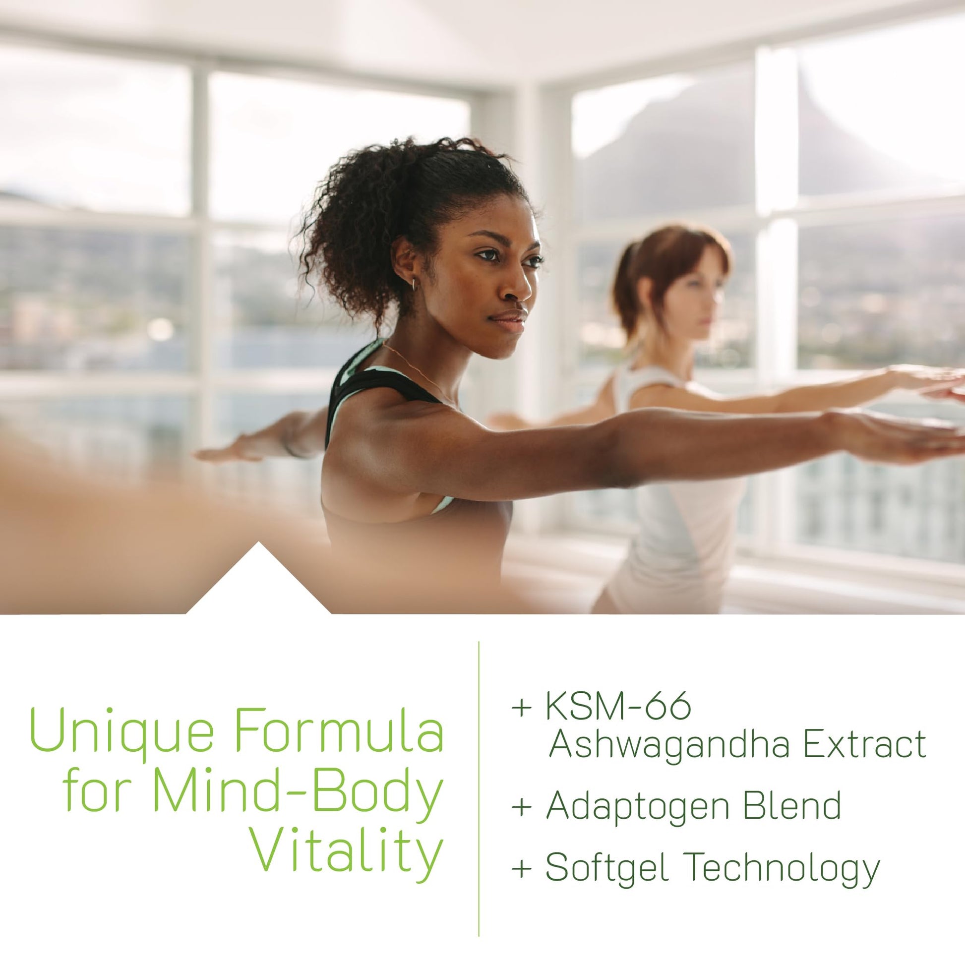 Irwin Naturals Extra Strength Ashwagandha - 60 Liquid Softgels - Helps Boost Physical & Mental Performance - with Turmeric & Milk Thistle Irwin Naturals buy supplements canada