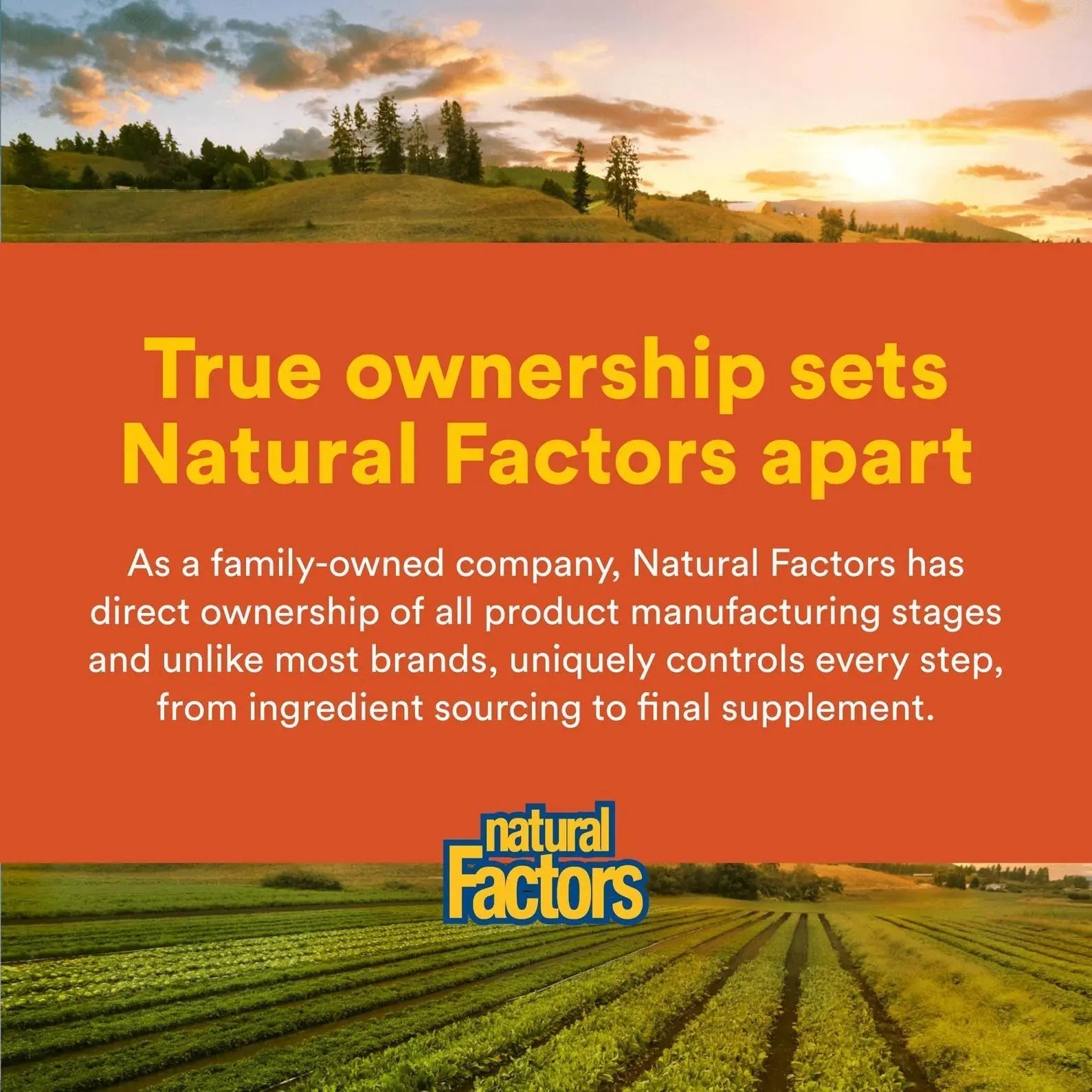 Natural Factors Hi Potency B Complex, 50 mg, 90 Capsules Natural Factors buy supplements canada