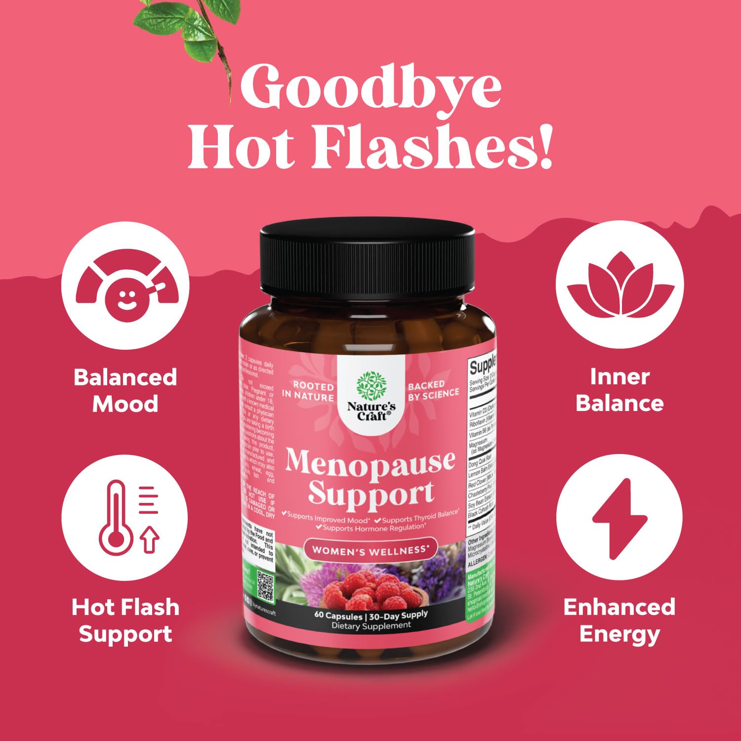 Complete Herbal Menopause Supplement for Women - Female Hormone Balance Capsules for Night Sweats Hot Flashes & Mood Swings with Dong Quai, Chaste Berry & Black Cohosh Root - 60 Count Natures Craft buy supplements canada