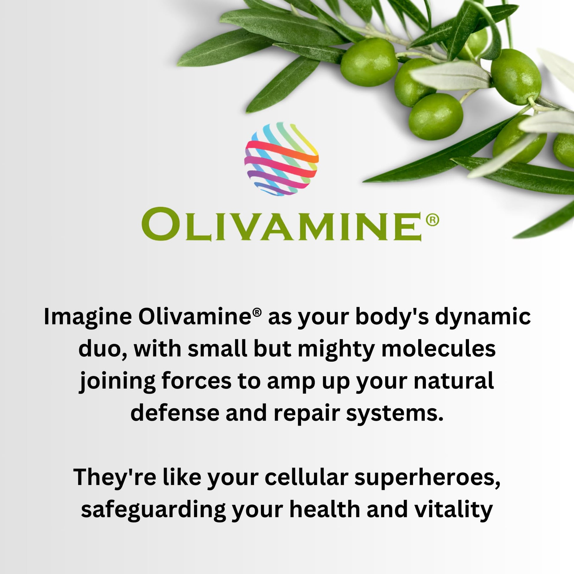 BrainHealth Brain Supplement - Amplify Memory, Increase Focus, Enhance Clarity & Gain Productivity For Men & Women, Olivamine, Vitamin D, Vitamin B6 & B12, Rhodiola Rosea, Magnesium, Taurine Pinnaclife buy supplements canada