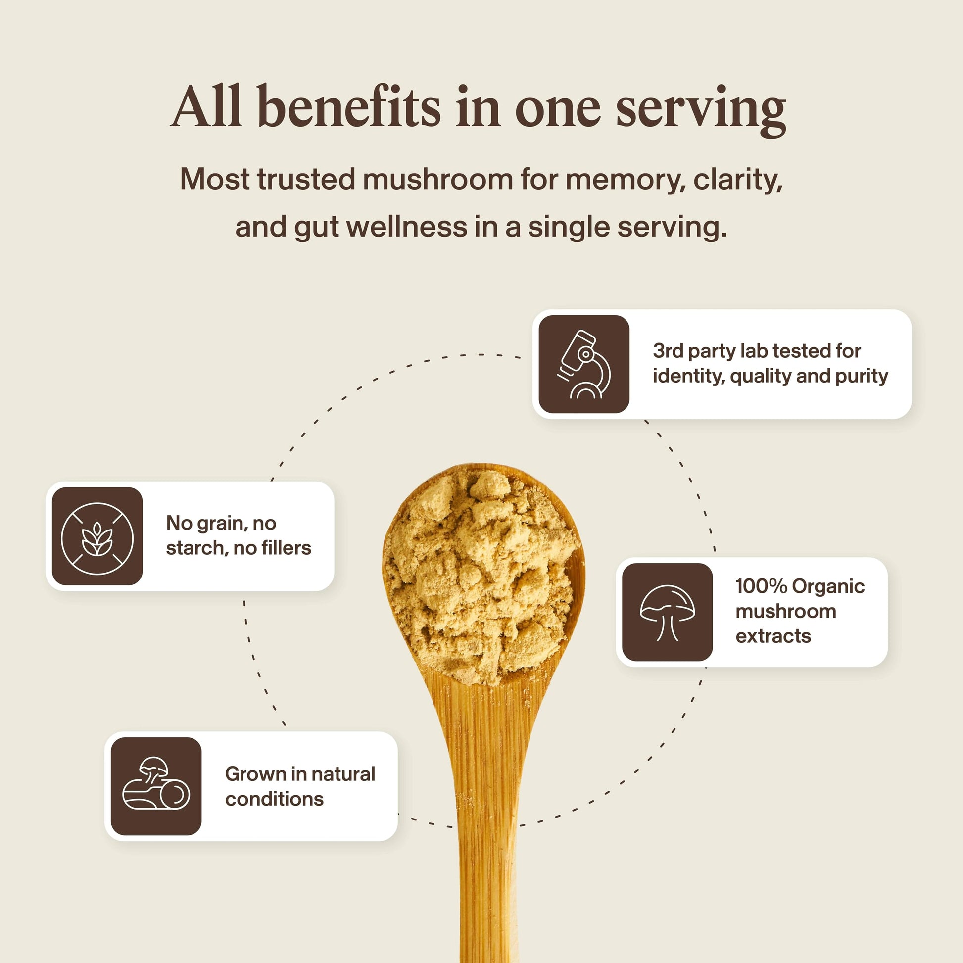 Real Mushrooms Lions Mane Mushroom Cognition (120 Capsules) Lions Mane Mushroom Powder Extract Capsules Real Mushrooms buy supplements canada