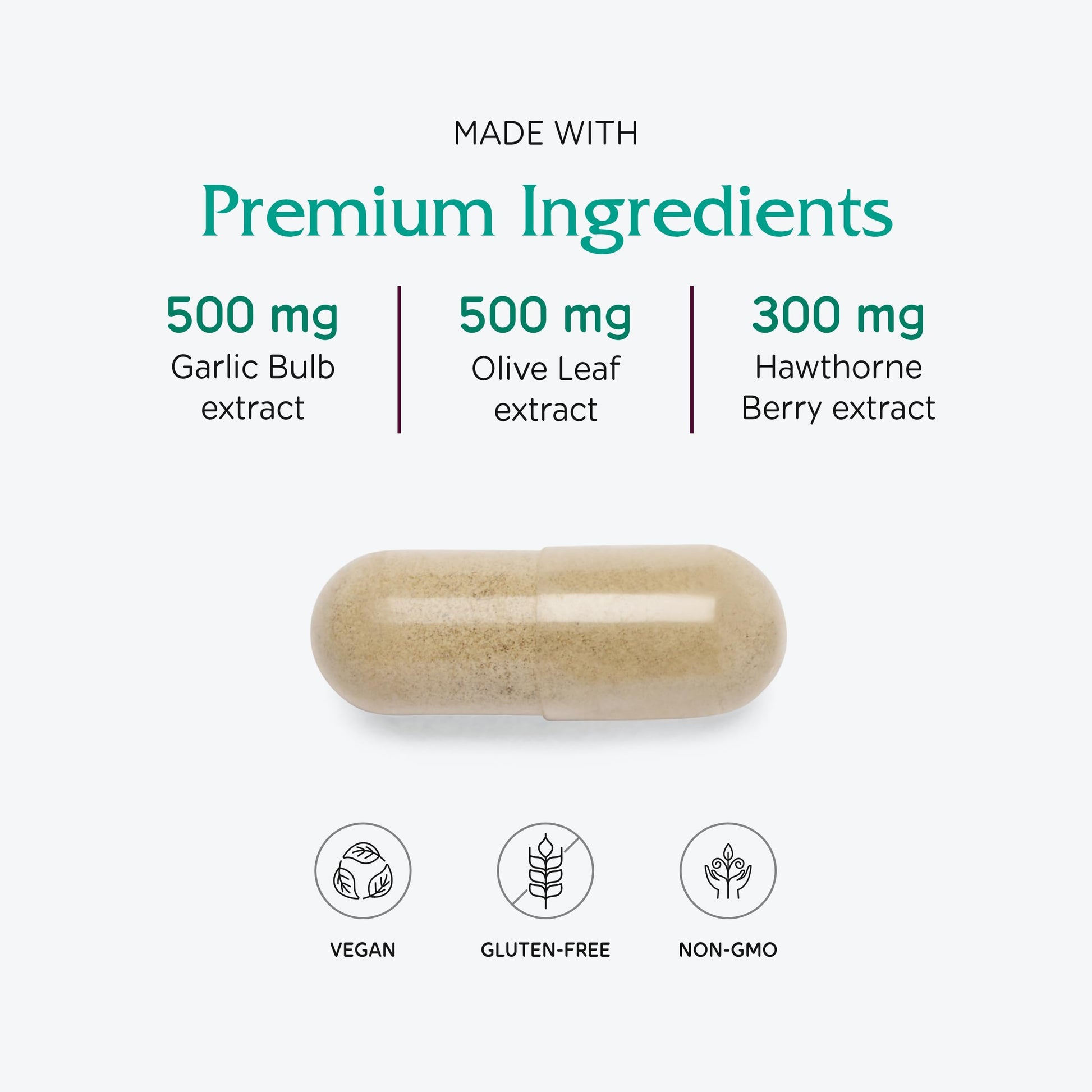 Vitanica VasoBlend - Heart Health Supplement with Folic Acid, Magnesium, CoQ10 & Terminalia Arjuna Bark - Heart Health Supplement - Consumer Line - 90 Vegan Caps Vitanica buy supplements canada