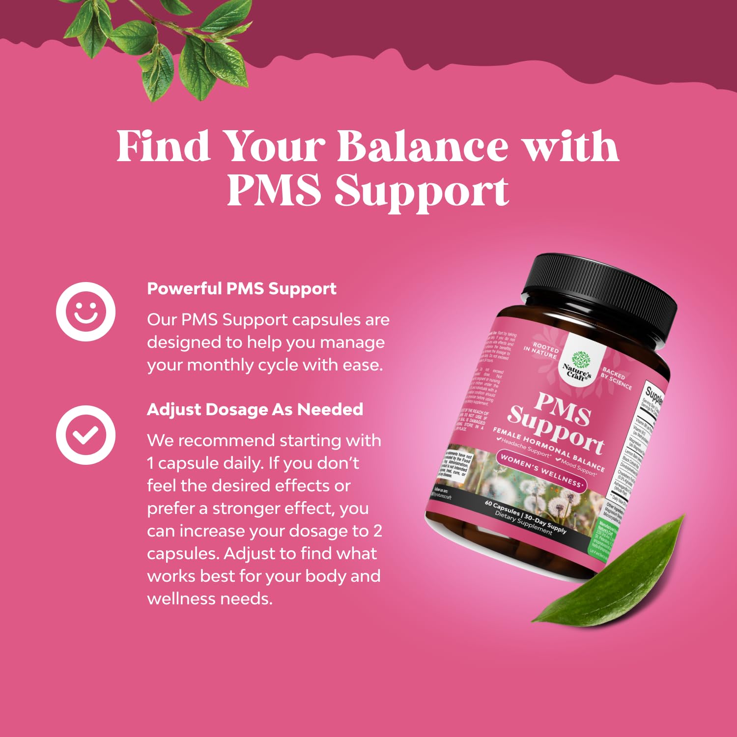 PMS Support Supplement for Women – Hormone Balance for Women & Menstrual Discomfort with DIM, Chasteberry, Black Cohosh & Ashwagandha - for Period Cramps Ease, Menopause Bloating, Mood Swing – 60 Ct Natures Craft buy supplements canada