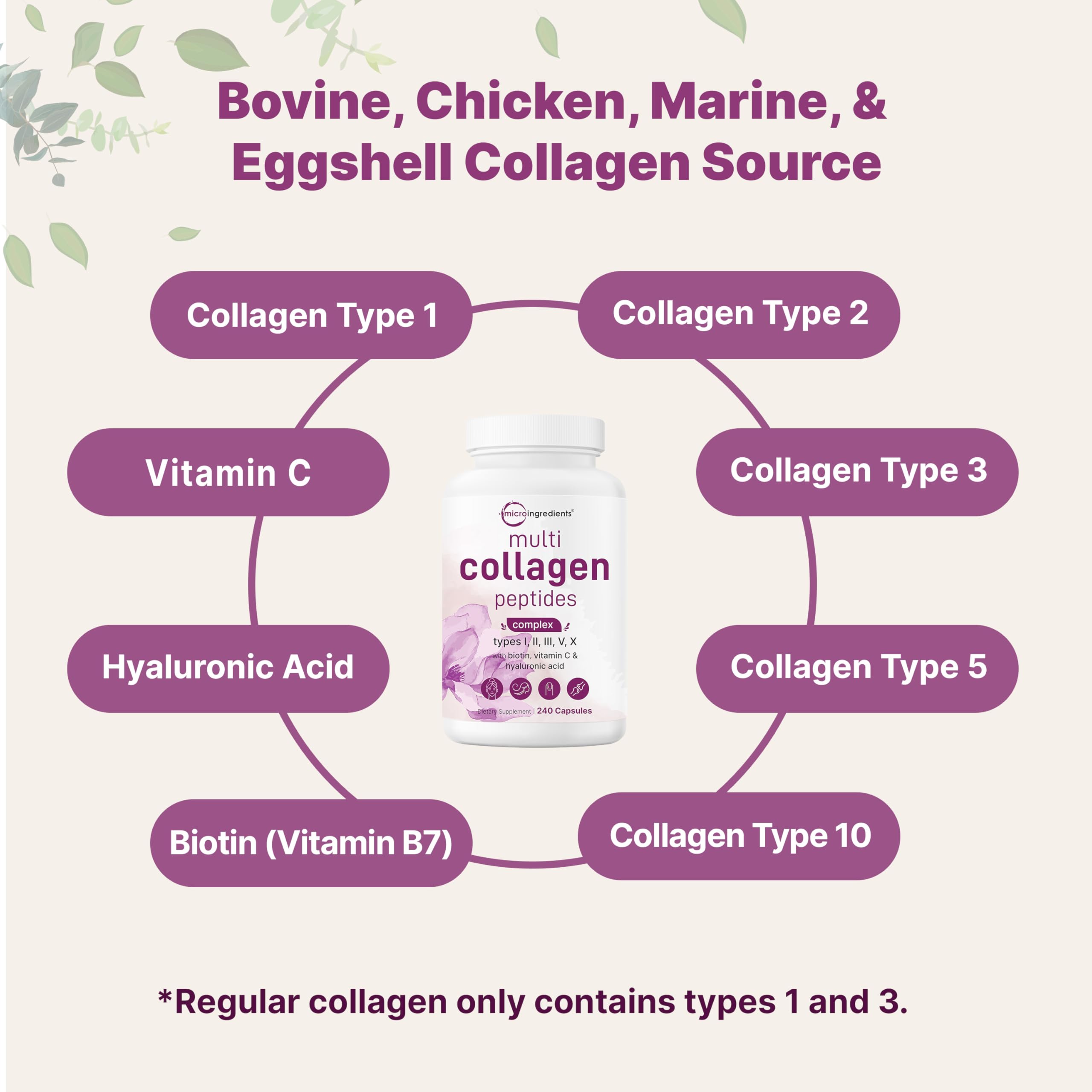 Micro Ingredients Multi Collagen Pills for Women & Men, 240 Capsules | Type I, II, III, V, X | Hydrolyzed Peptides with Biotin, Hyaluronic Acid Micro Ingredients buy supplements canada