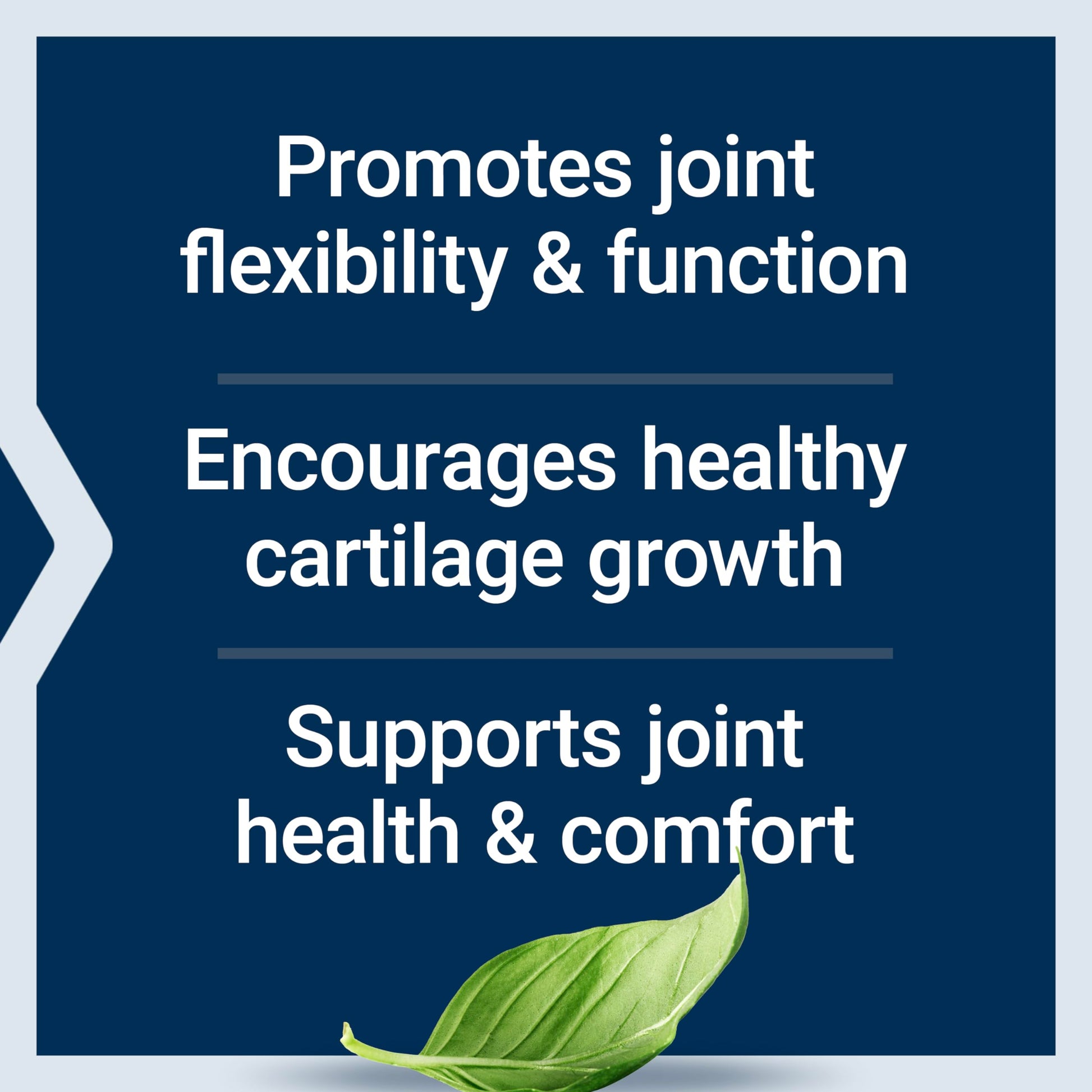 Life Extension NT2 Collagen™, Joint Health Supplement for Joint Comfort & Mobility, Gluten-Free, Non-GMO, 1 Daily, 60 Small Capsules Life Extension buy supplements canada