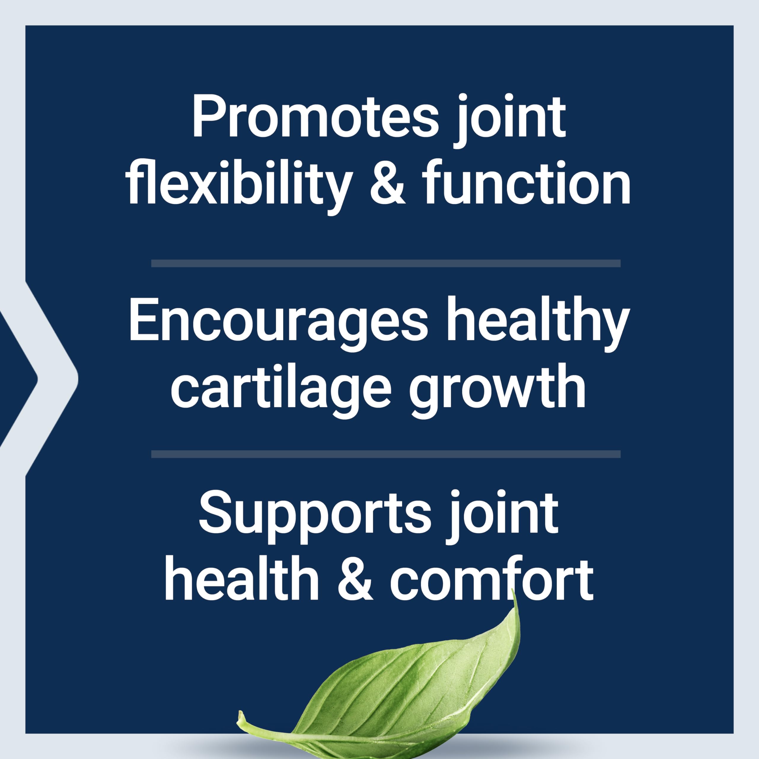 Life Extension NT2 Collagen™, Joint Health Supplement for Joint Comfort & Mobility, Gluten-Free, Non-GMO, 1 Daily, 60 Small Capsules Life Extension buy supplements canada