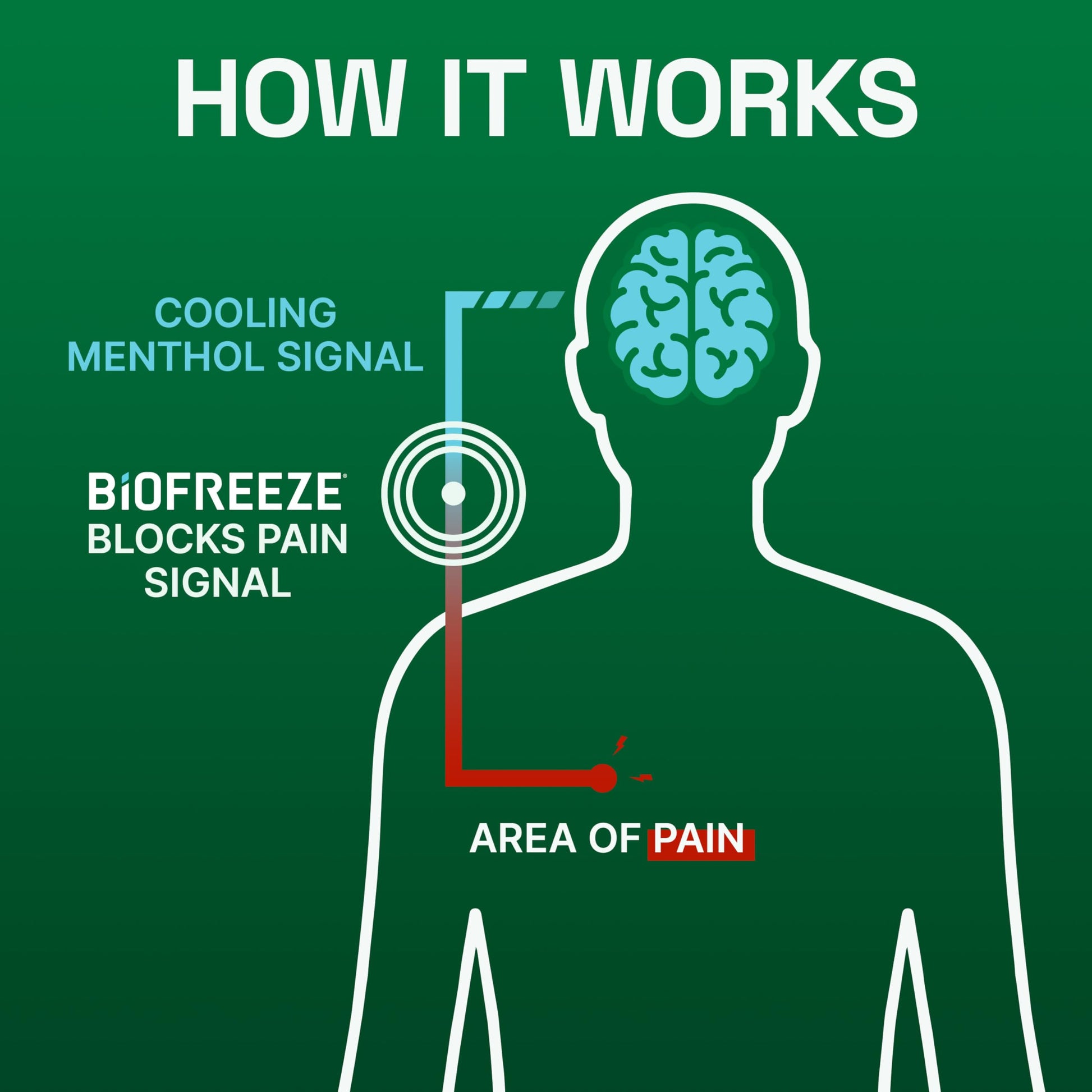 Biofreeze Pain Relief Gel, Arthritis Pain Reliver, Knee & Lower Back Pain Relief, Sore Muscle Relief, Neck Pain Relief, Pharmacist Recommended, 8 FL OZ Biofreeze Menthol Gel Biofreeze buy supplements canada
