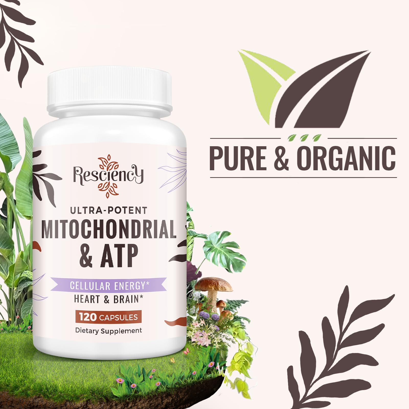 Resciency 2326 MG Mitochondrial Supplements with ATP, Vitamins, CoQ10 & PQQ, More Effective Than Creatine HMB & Nitric Oxide, Energy, Endurance, Strength, Recovery & Muscle, Organic, 120 Capsules Resciency buy supplements canada