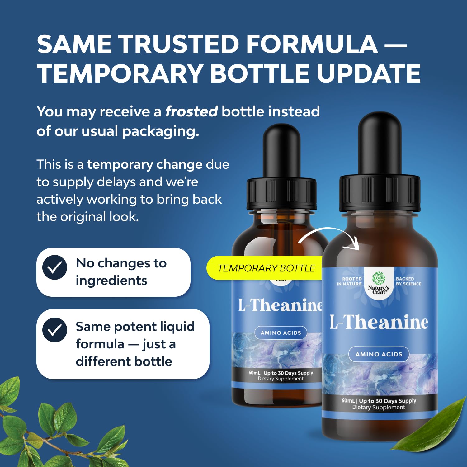 High Absorption L-Theanine Liquid Drops - Nootropic Focus Supplement with L Theanine 200mg Per Serving and Chamomile Extract Supplement for Adults and Kids Relaxation and Focus - 2 Fl Oz Natures Craft buy supplements canada