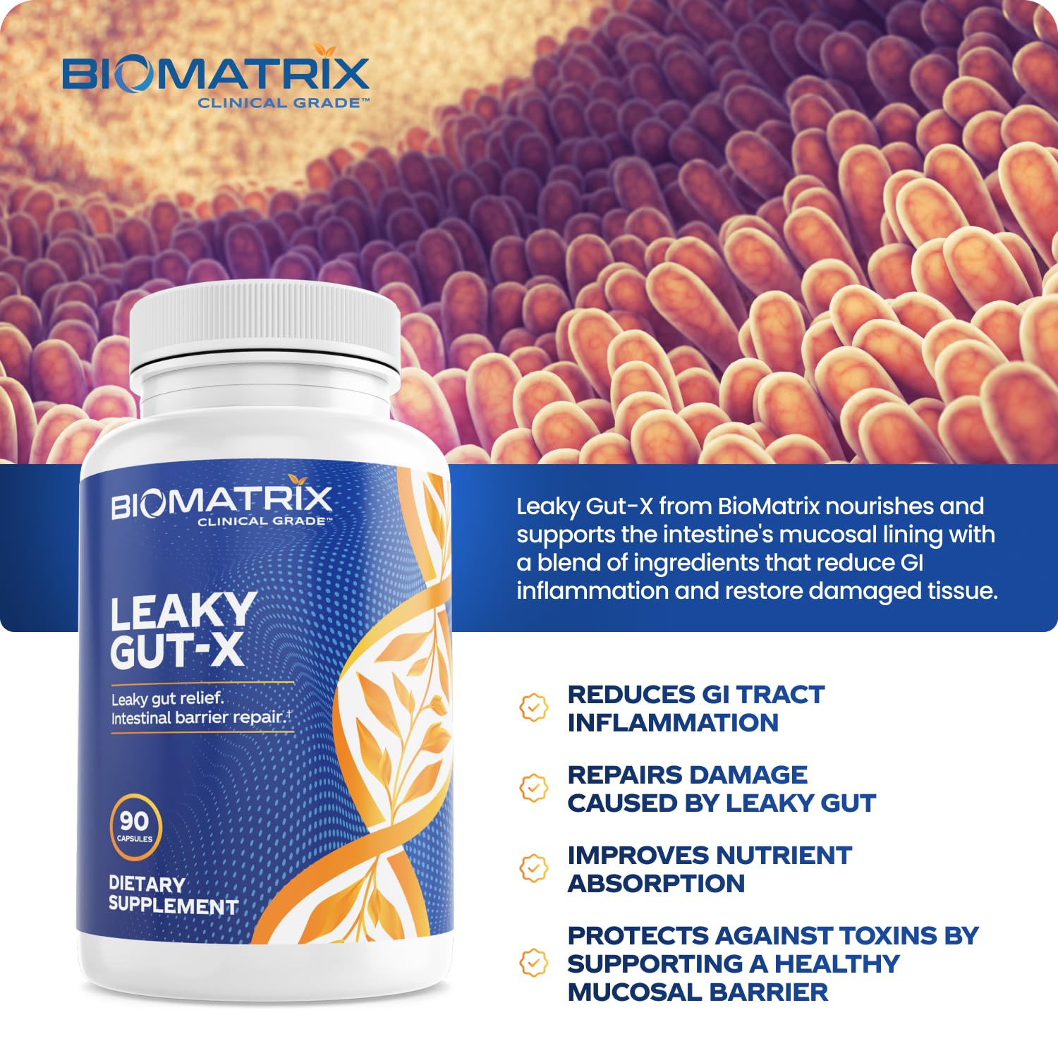 BioMatrix Leaky Gut Repair Supplement w/Glutamine, Quercetin, Cat's Claw, MSM, SIBO, Prebiotic Support, Intestinal Barrier Revive for Men and Women | 60-Day Supply – Leaky Gut-X BioMatrix buy supplements canada