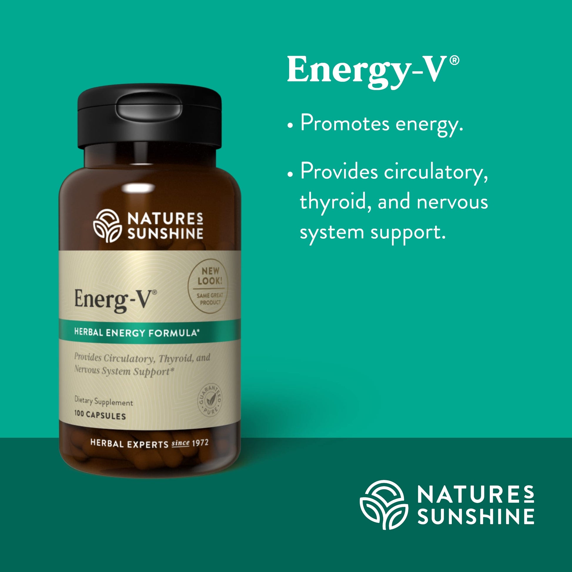 Nature's Sunshine Energ-V - Herbal Blend to Support Energy Levels (100 Capsules) Nature's Sunshine buy supplements canada