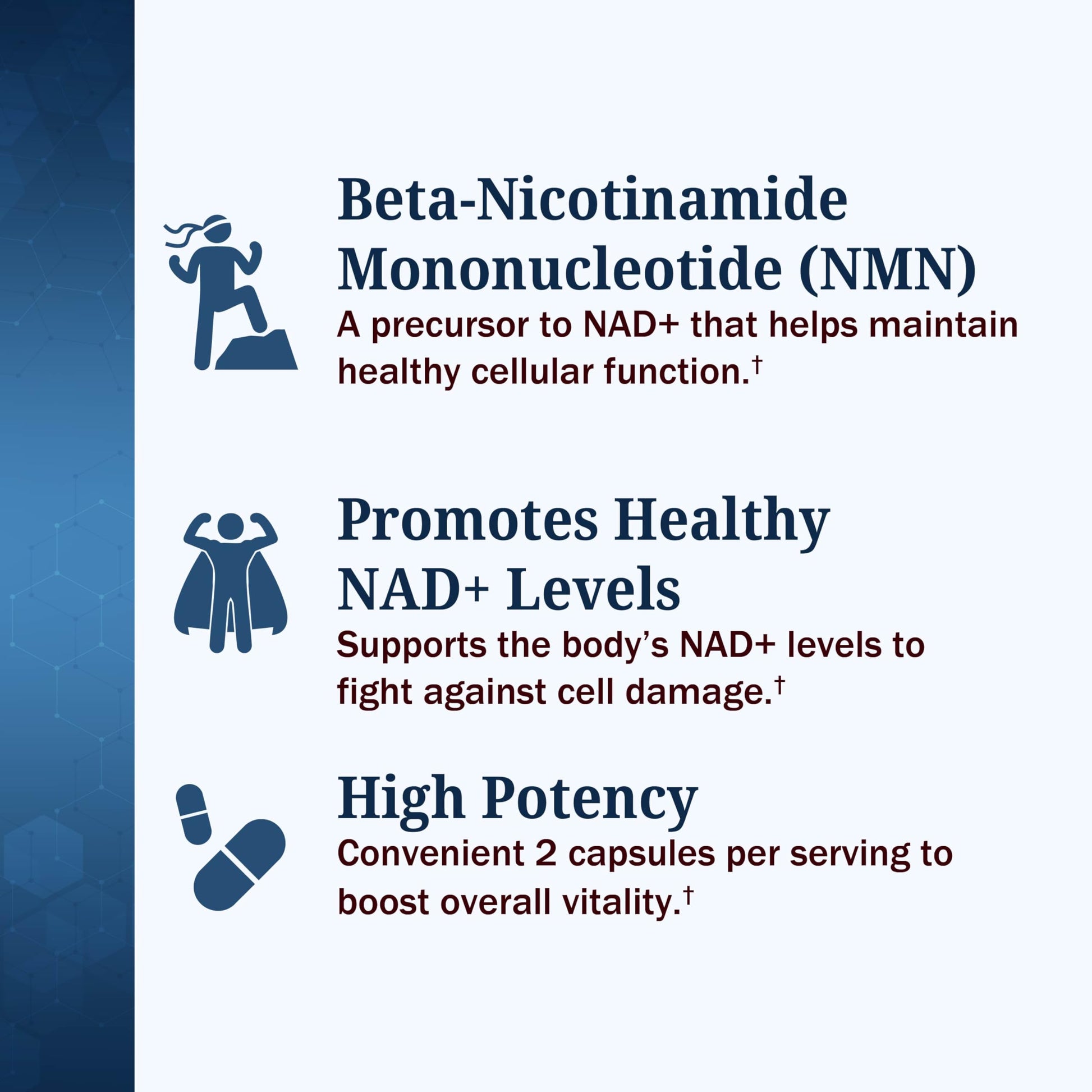 BioSchwartz NMN Supplement - 500mg Nicotinamide Mononucleotide - 30 Servings, 60 Capsules - Made in The USA with Premium Globally Sourced Ingredients, Third-Party Tested, Gluten-Free NMN Supplement BioSchwartz buy supplements canada