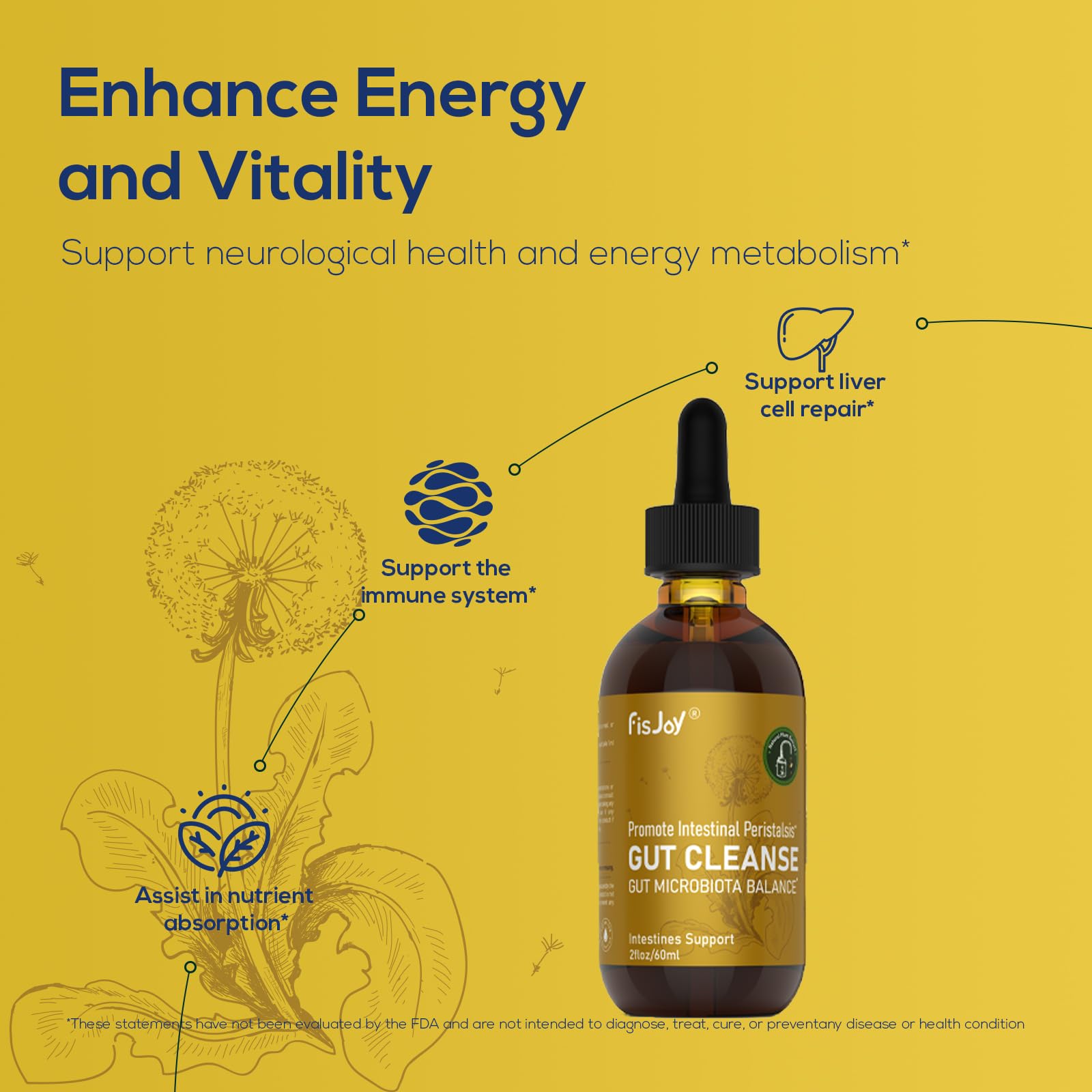 Fisjoy L-Carnitine & Herbal Liquid Drops – Gentle Daily Digestive Support with Pumpkin Seed, Clove & PAU D’Arco Extracts, Folate & Chromium, Vegan, Sugar-Free, 2 fl oz (60 mL) Fisjoy buy supplements canada