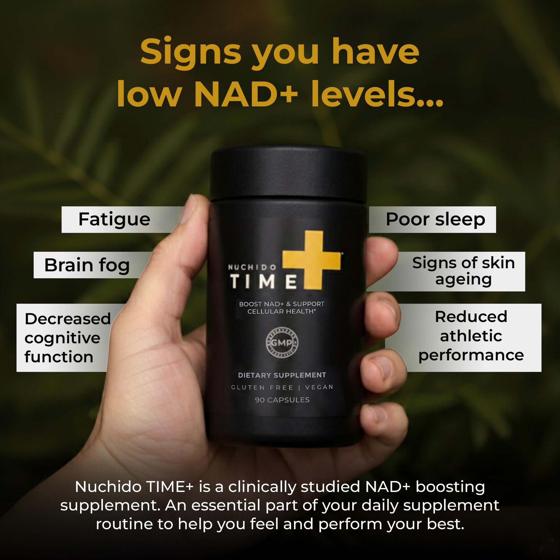 Nuchido Time+ NAD Supplement for Men & Women - Advanced Formula for Healthy Aging, Energy, Focus, Cellular Health & Longevity - Nicotinamide, Alpha Lipoic Acid, Quercetin - 90 Capsules Nuchido Time+ buy supplements canada