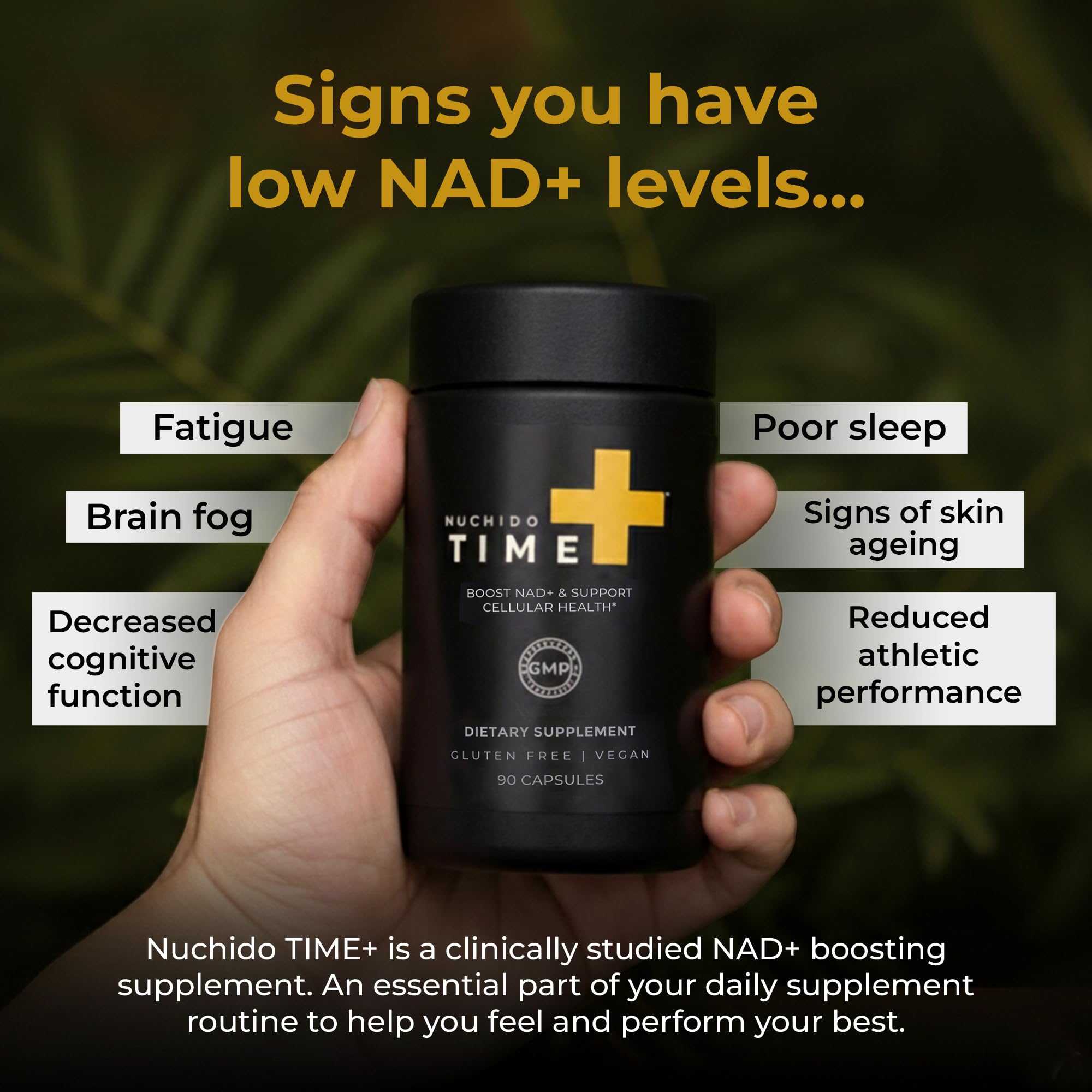 Nuchido Time+ NAD Supplement for Men & Women - Advanced Formula for Healthy Aging, Energy, Focus, Cellular Health & Longevity - Nicotinamide, Alpha Lipoic Acid, Quercetin - 90 Capsules Nuchido Time+ buy supplements canada