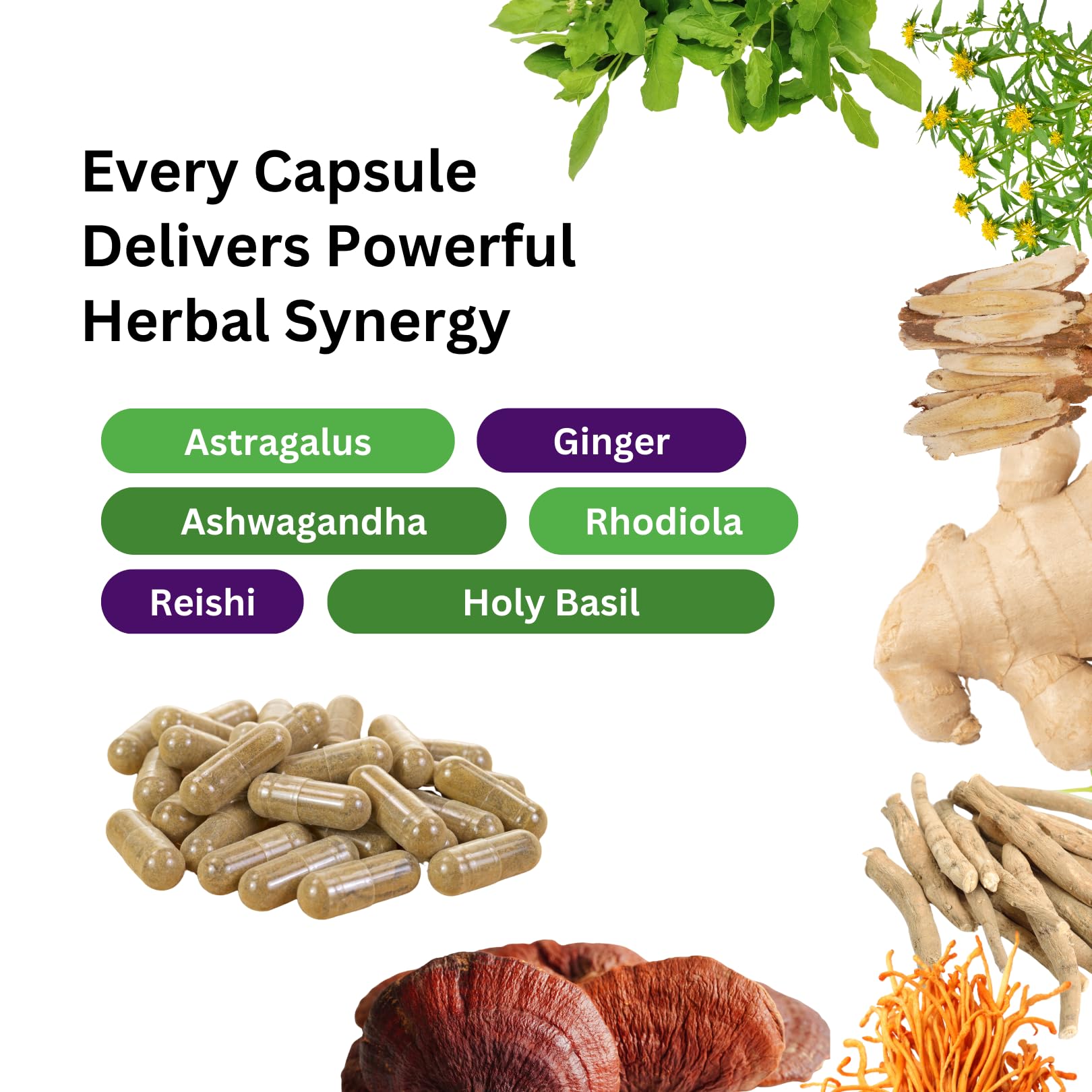 Paradise Herbs, Imperial Adaptogens, with Ashwagandha, Astragalus, Rhodiola, Proprietary Adaptogen Blend for Stress Support, Focus & Energy, 60 Vegetarian Capsules Paradise Herbs buy supplements canada