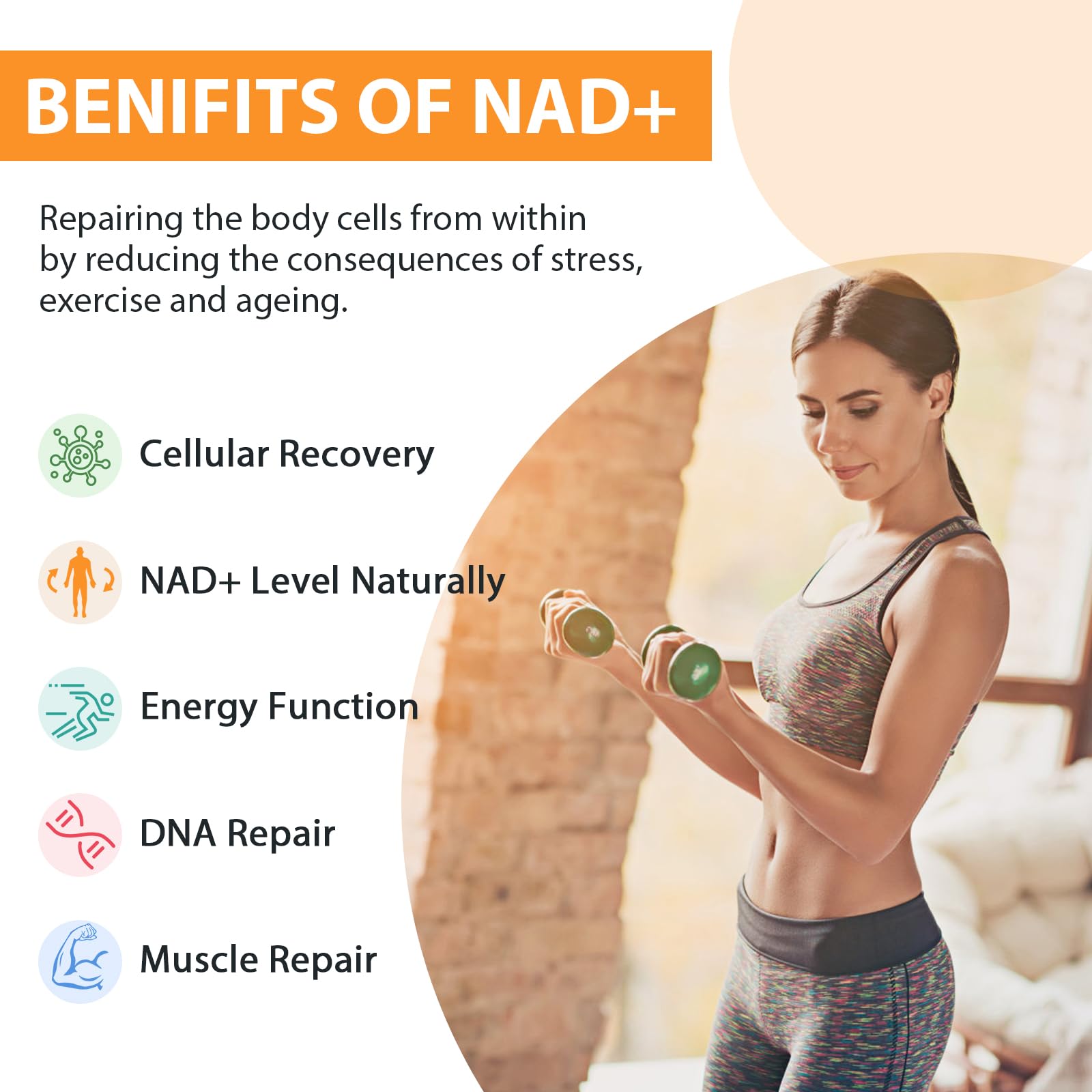 Orgabay Liposomal NAD+ Supplement 500 mg, High Absorption, Boost NAD+ with TMG 250 mg, Actual NAD Plus More Efficient Than Nicotinamide Riboside, Support Cellular Energy, Healthy Aging | 240 Softgels Orgabay buy supplements canada