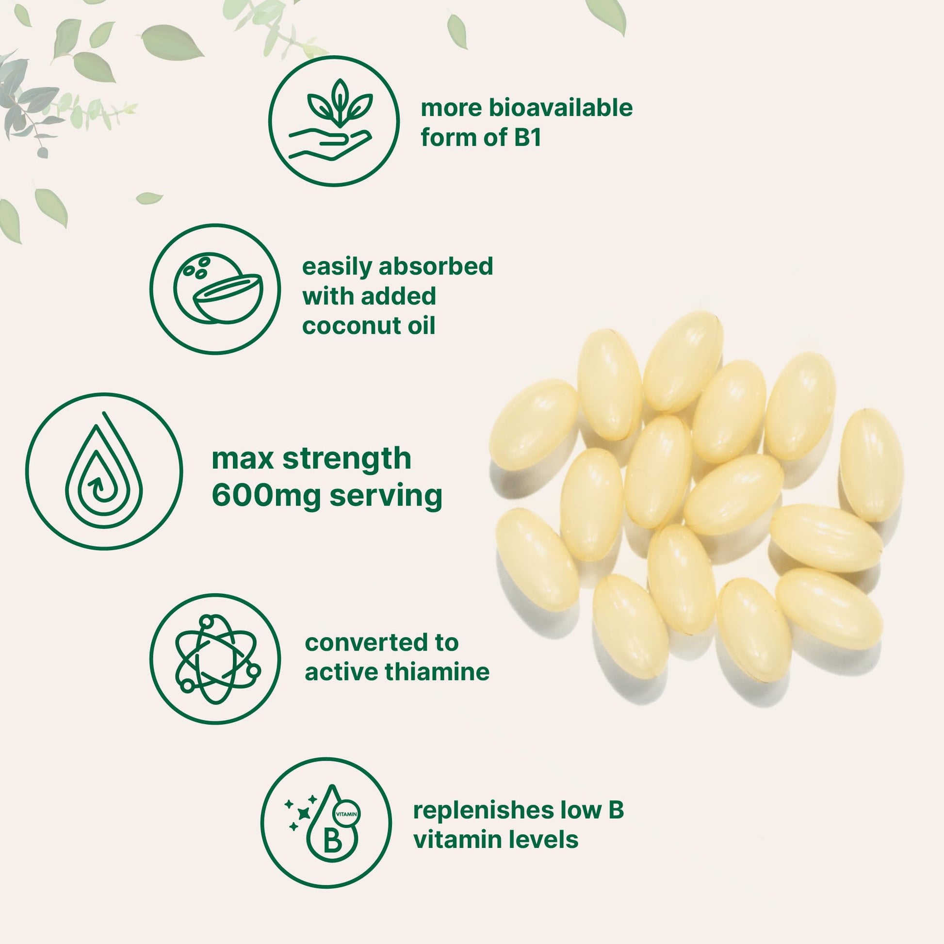 Vitamin B1 Benfotiamine 600mg Per Serving, 240 Coconut Oil Softgels | Bioavailable B Vitamins Supplement, Converted to Active Thiamine | Non-GMO, Soy Free Micro Ingredients buy supplements canada