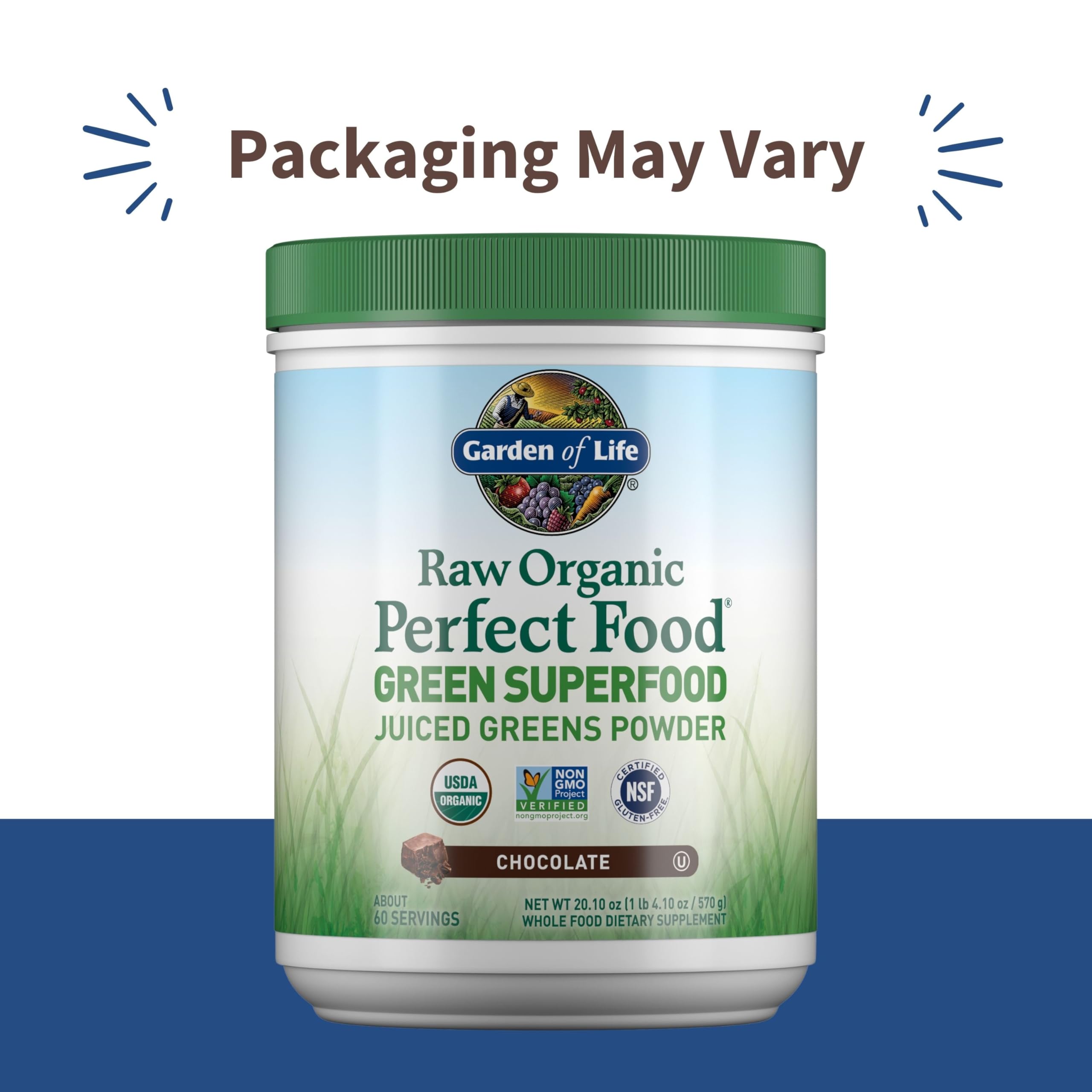Garden of Life Raw Organic Perfect Food Green Superfood Juiced Greens Powder - Chocolate, 60 Servings, Non-GMO, Gluten Free, Vegan Whole Food Dietary Supplement Plus Probiotics, Enzymes Garden of Life buy supplements canada