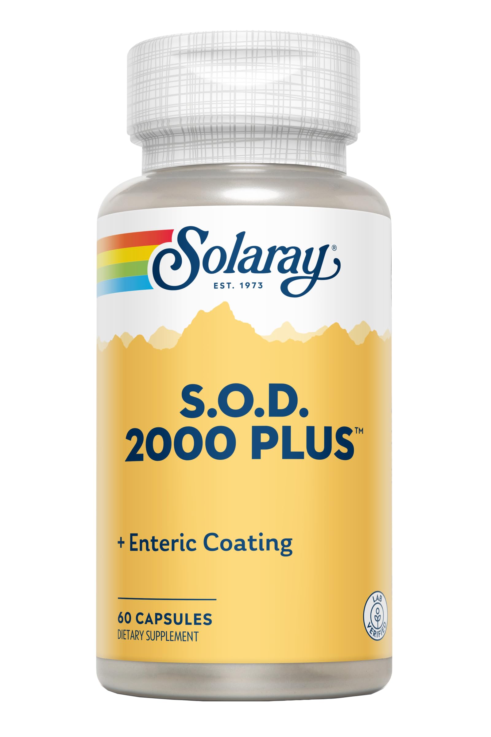 SOLARAY S.O.D. 2000 Plus - Superoxide Dismutase (SOD) and Catalase Antioxidant Supplement, Wellness Support - w/Green Tea Extract, Calcium, Rosemary, Grape Seed Extract, 60-Day Guarantee, 100 Servings SOLARAY buy supplements canada
