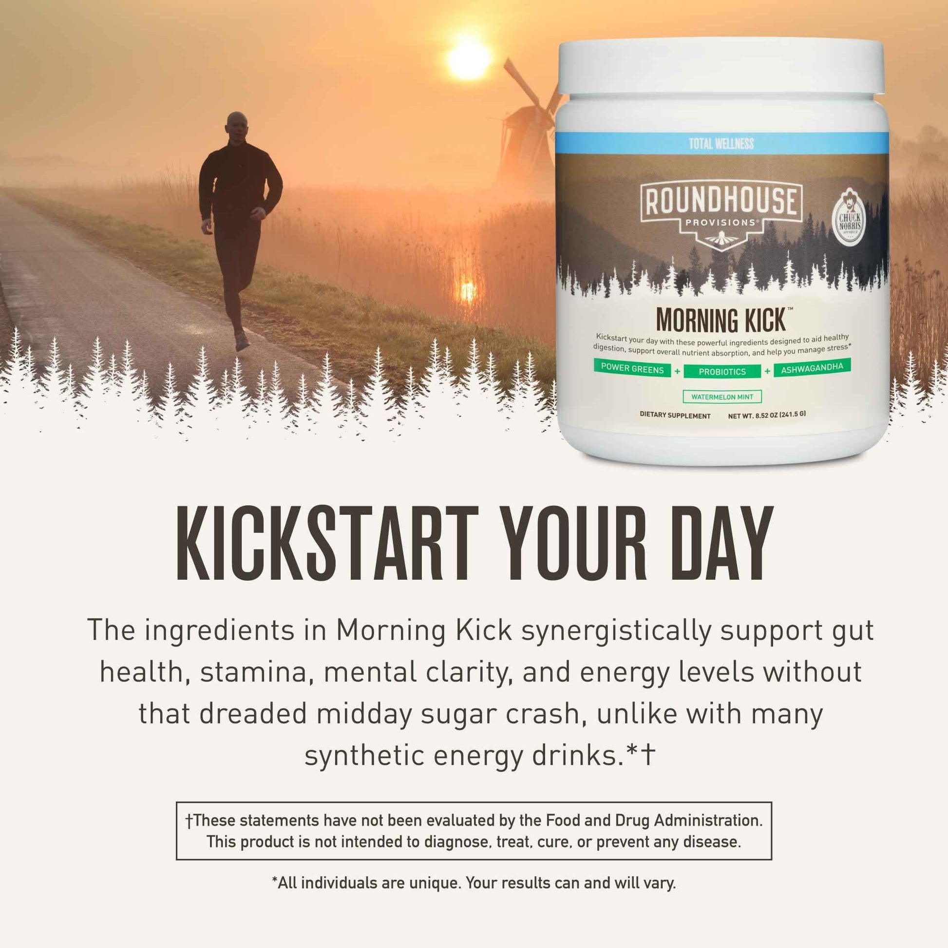 ROUNDHOUSE PROVISION Morning Kick, Powder Supplement for Healthy Digestion, Energy Levels, and Overall Wellness, 30 Servings (9.1 Ounce (Pack of 1), Watermelon Mint) ROUNDHOUSE PROVISION buy supplements canada