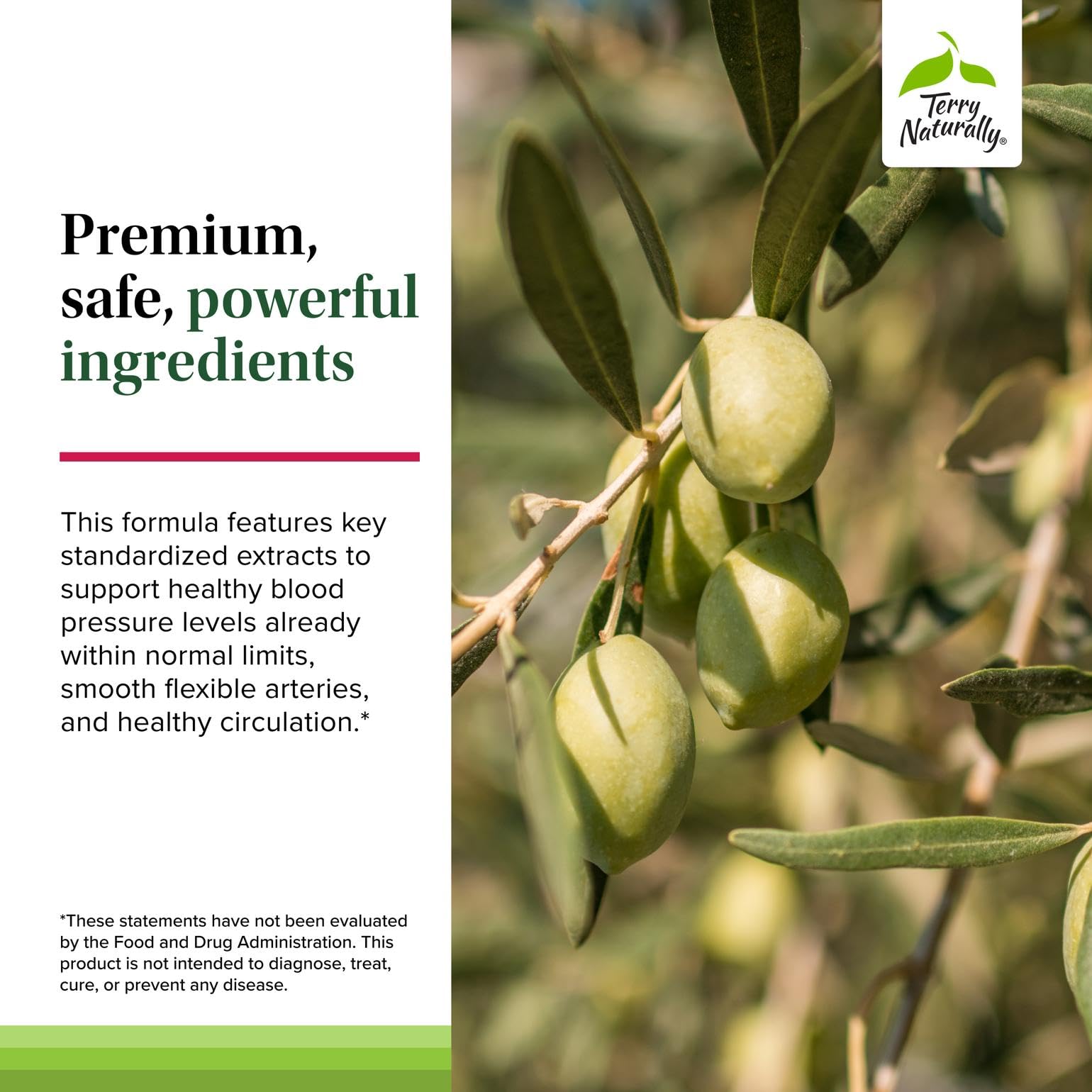 Terry Naturally Blood Pressure Health - Healthy Blood Flow & Circulation Support Supplement - Heart Health Supplement with Antioxidants - Cardiovascular Support - 60 Capsules Terry Naturally buy supplements canada