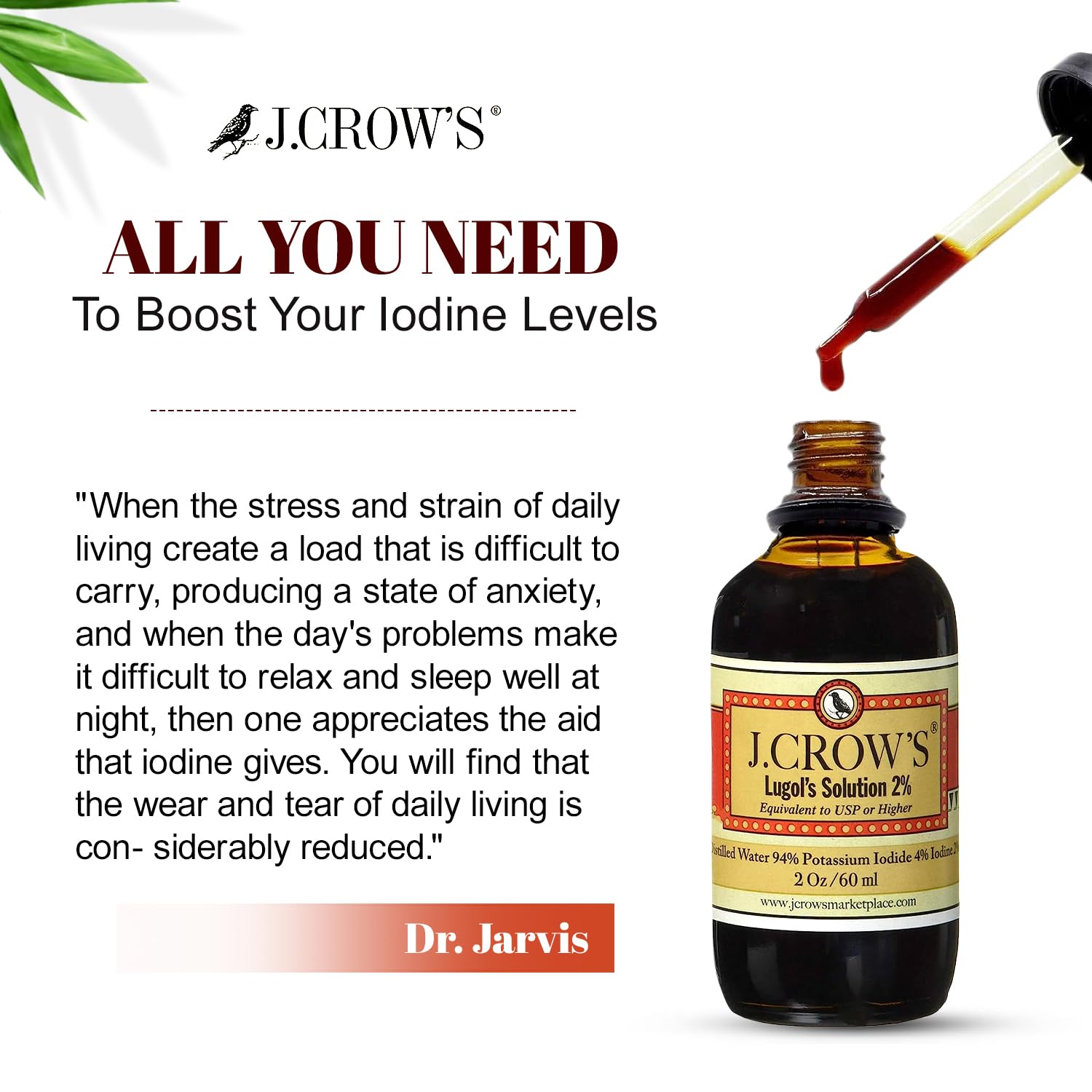 J.CROW'S® Lugol's Solution of Iodine 2% 2 oz (1 Bottle) – Premium Iodine & Potassium Iodide Liquid, Gluten J. CROW'S buy supplements canada
