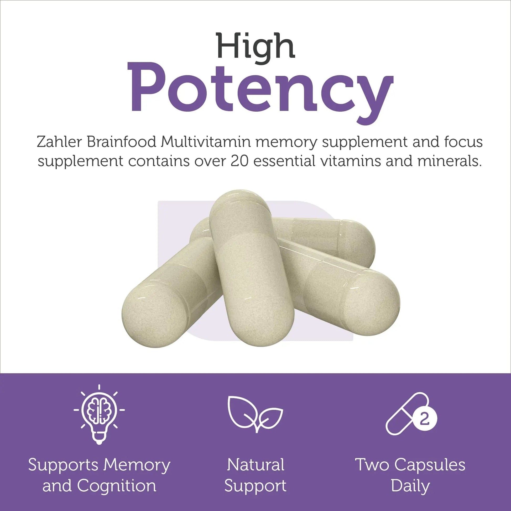 Zahler - Multivitamin Brain Supplement (60 Count) Kosher Brainfood Capsules for Adults with Neuro Factor & Lion's Mane Zahler buy supplements canada
