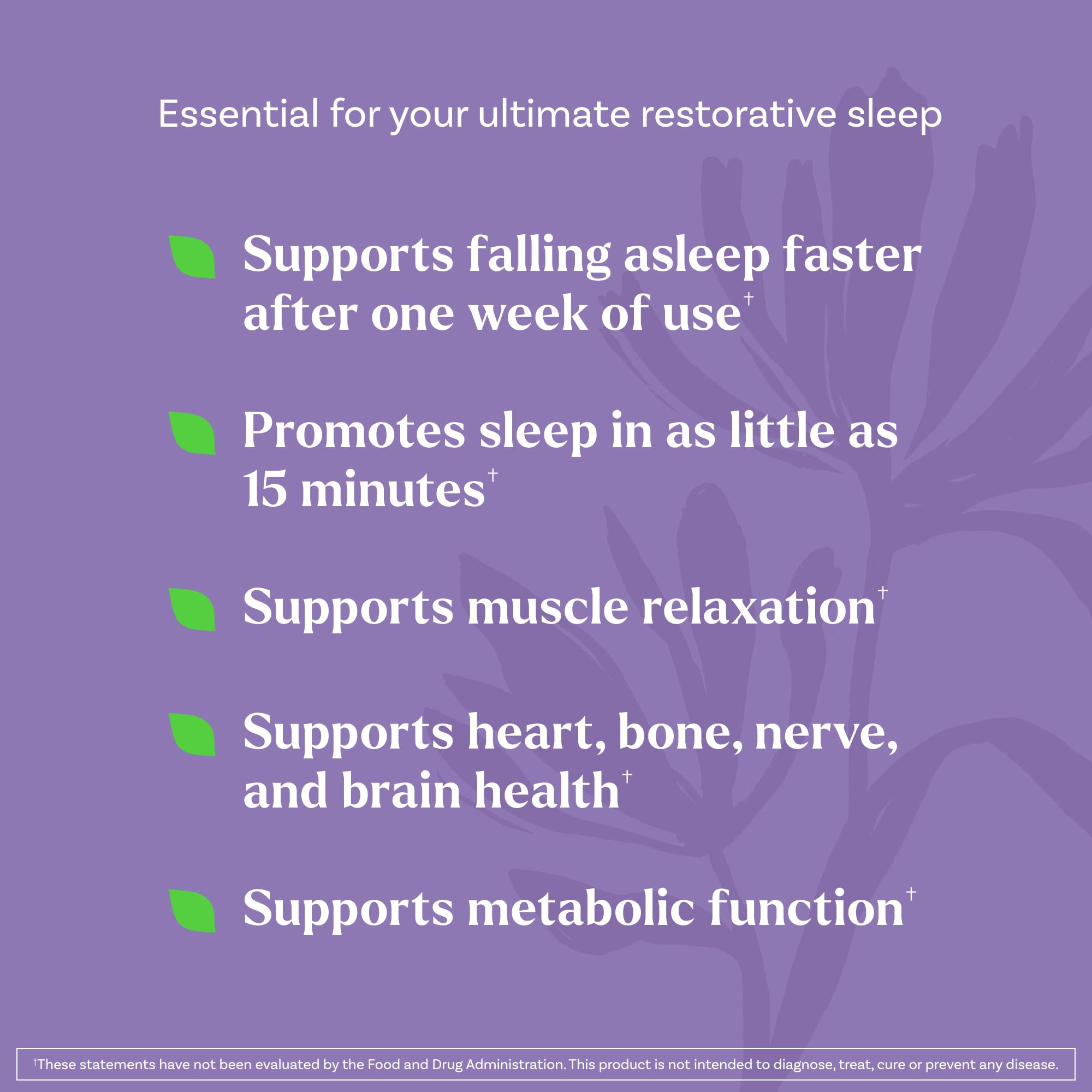 Natrol Sleep & Restore Capsules - Calm Magnesium Glycinate, Magnesium Sleep Aid with GABA, Melatonin 5mg, Botanical Blend, 30 Day Supply Natrol buy supplements canada