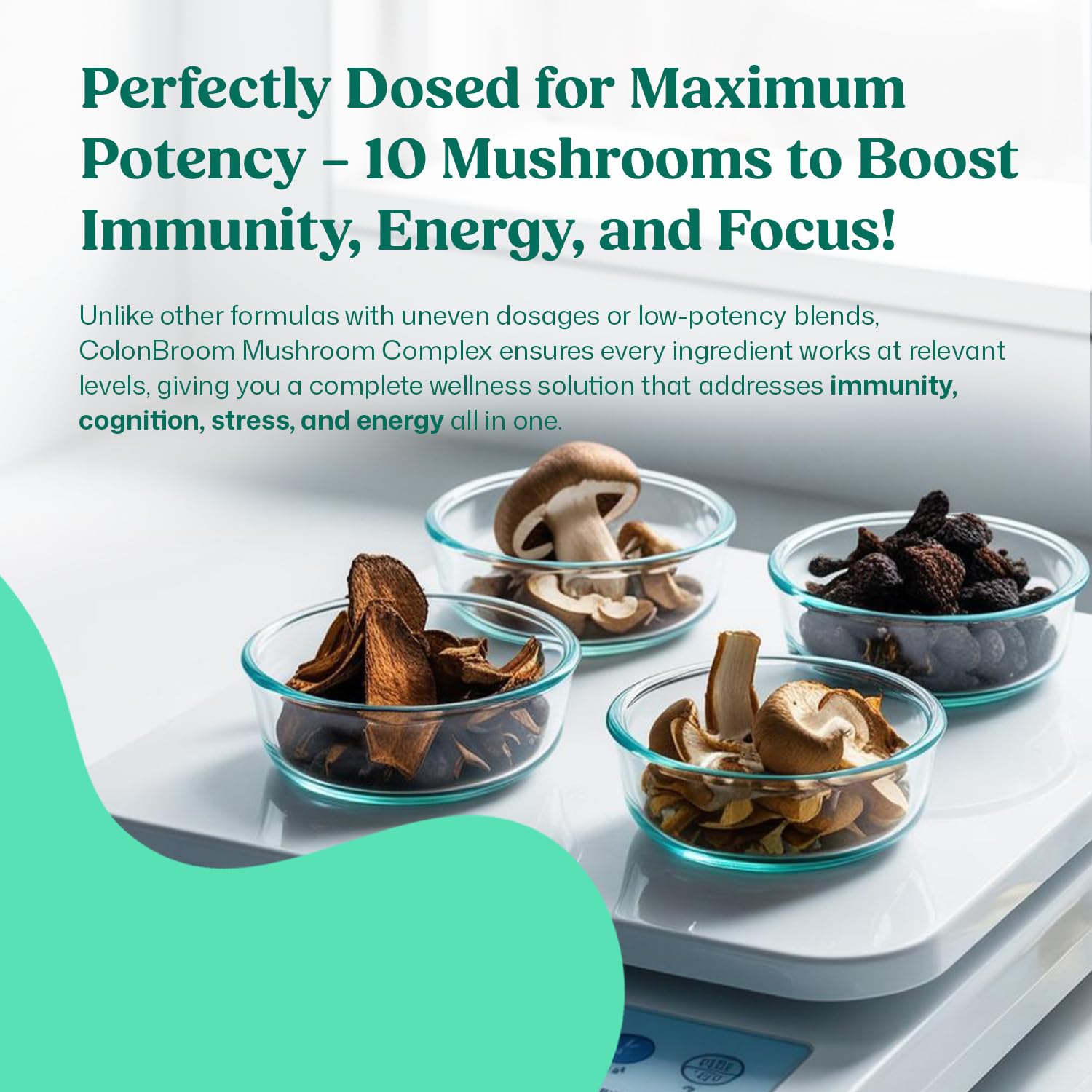 ColonBroom Mushroom Complex, Powerful Mushroom Blend with Cordyceps, Reishi, Shiitake, Lion’s Mane Extract for Energy, Immunity, Stress Relief & Cognitive Health - 60 Capsules, 30 Day Supply ColonBroom buy supplements canada